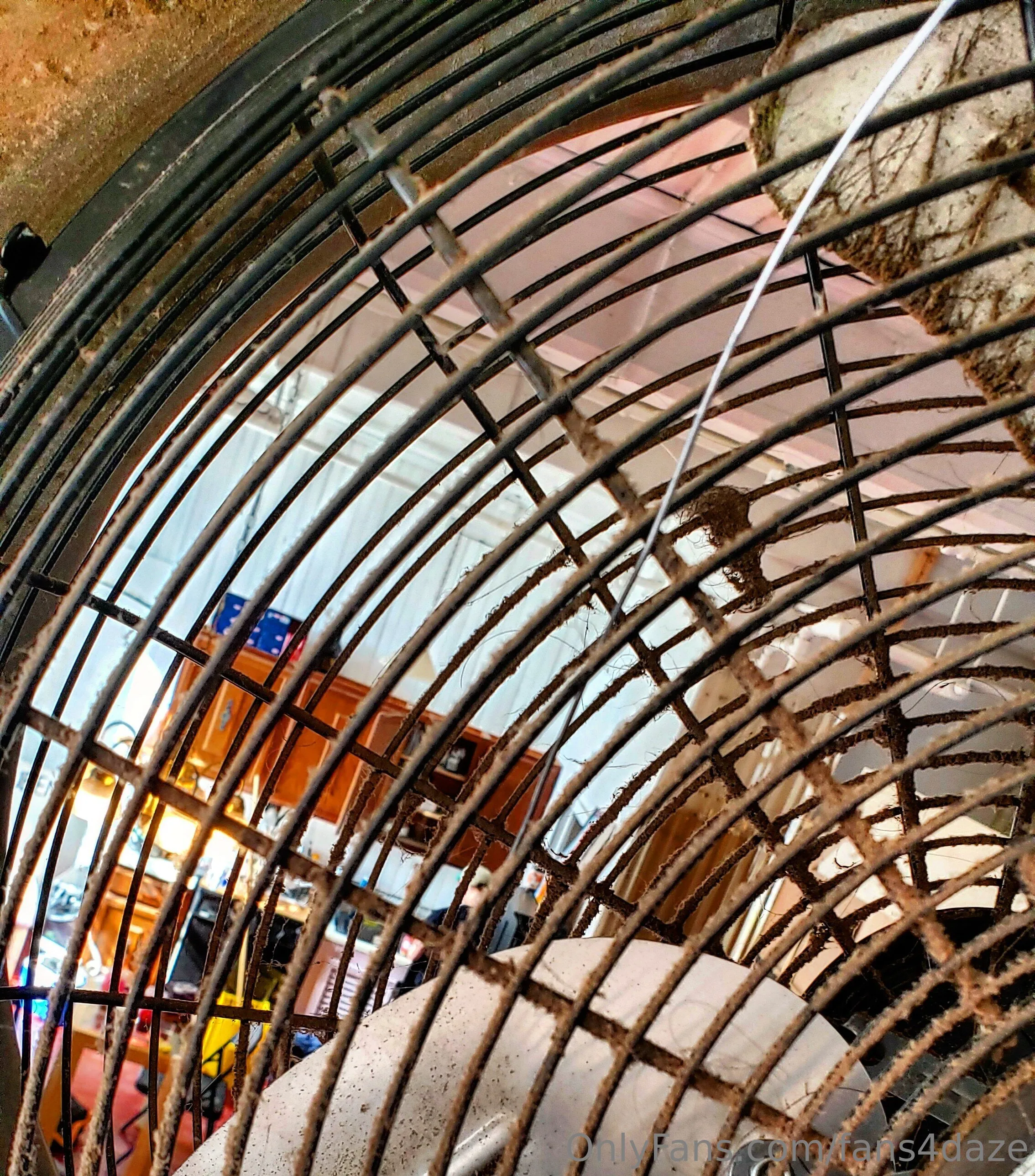 fansONLY OnlyFans premium content 10 - fans4daze exclusive collection