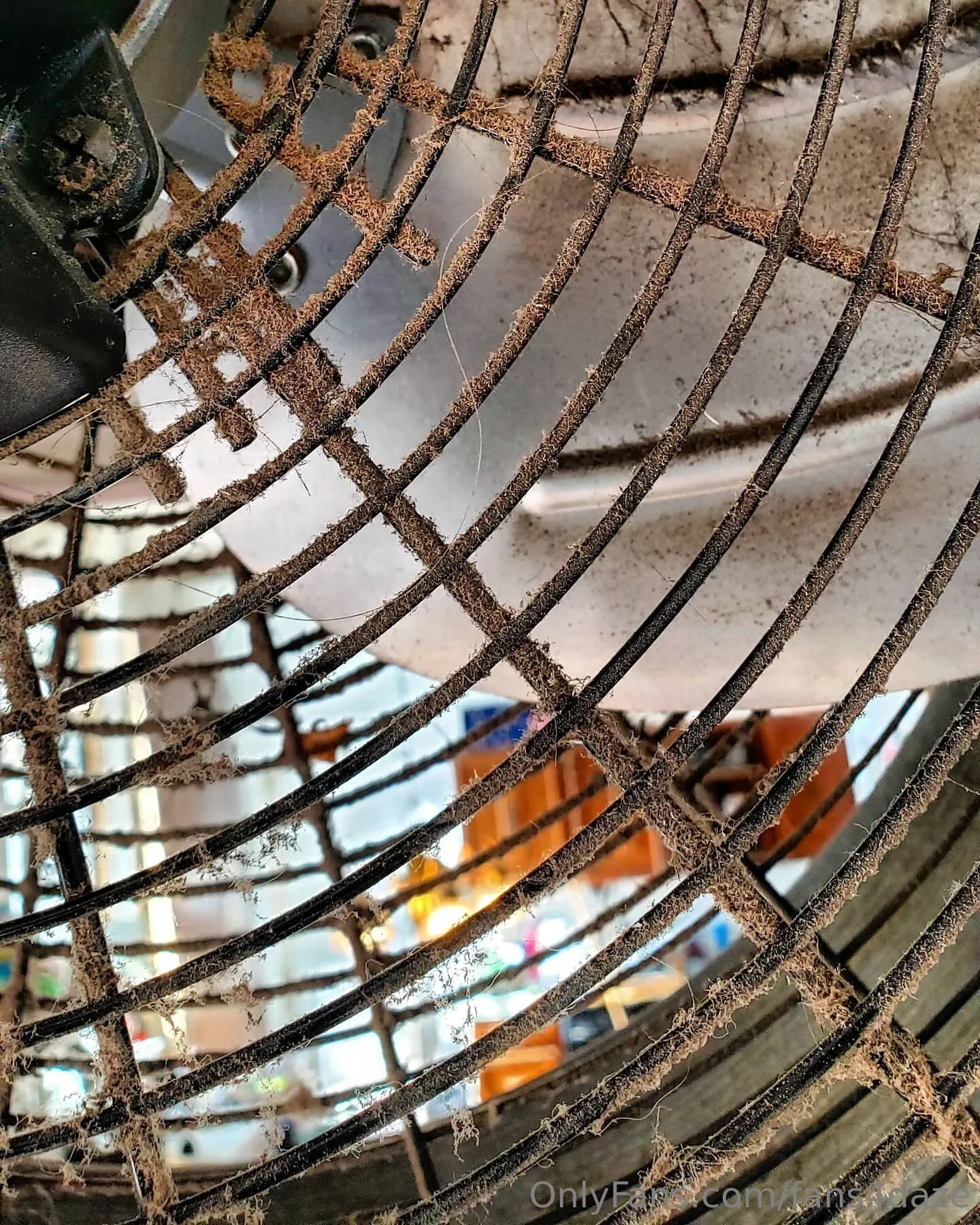 fansONLY OnlyFans premium content 9 - fans4daze exclusive collection