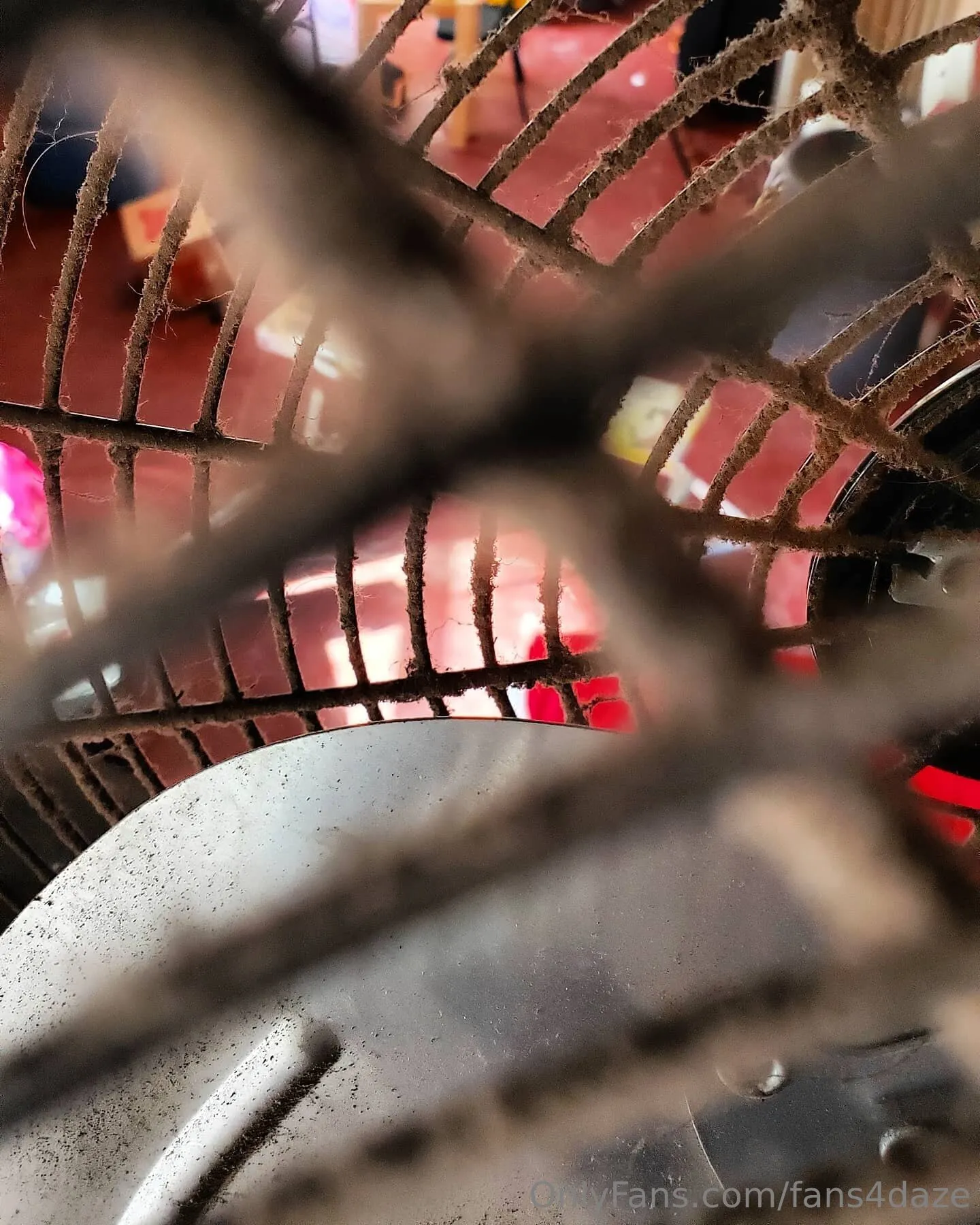 fansONLY OnlyFans premium content 8 - fans4daze exclusive collection