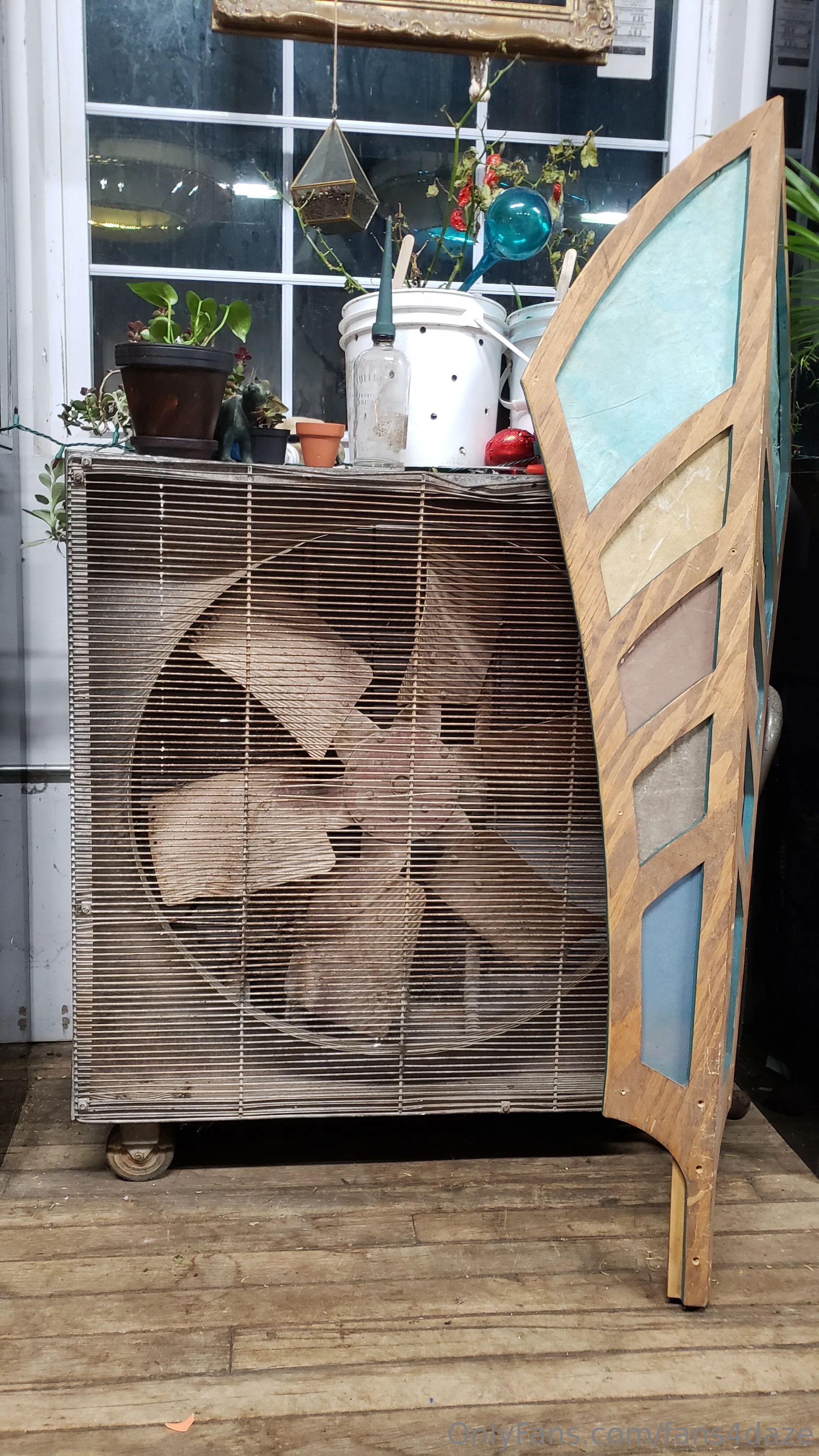 fansONLY OnlyFans premium content 3 - fans4daze exclusive collection