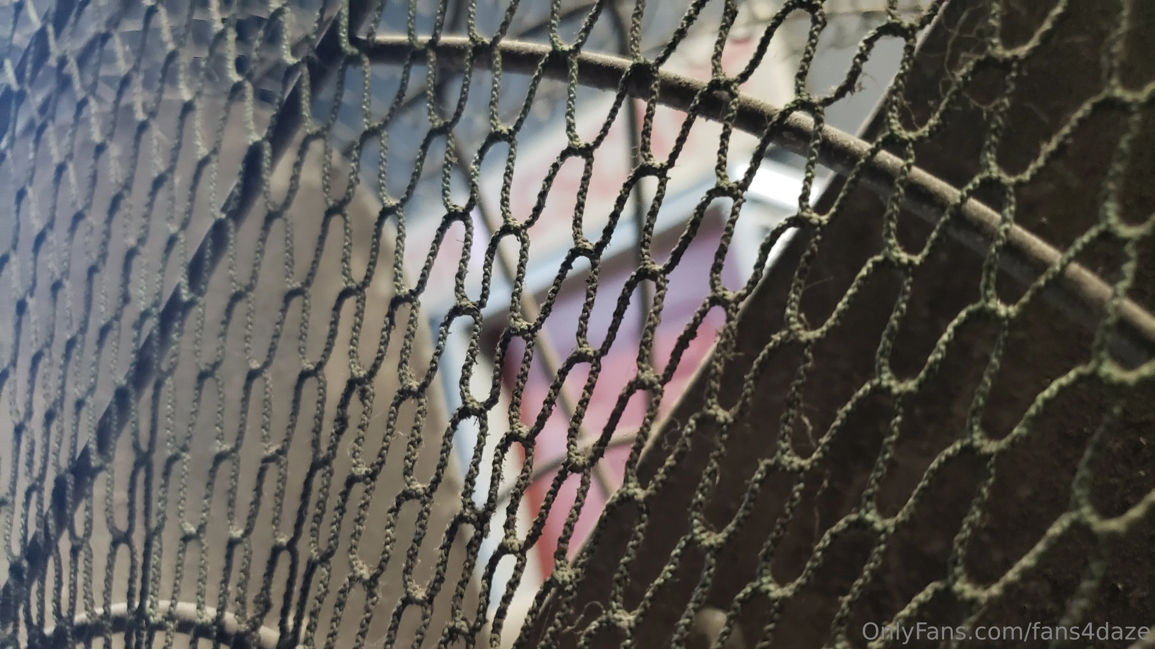 fansONLY OnlyFans premium content 2 - fans4daze exclusive collection