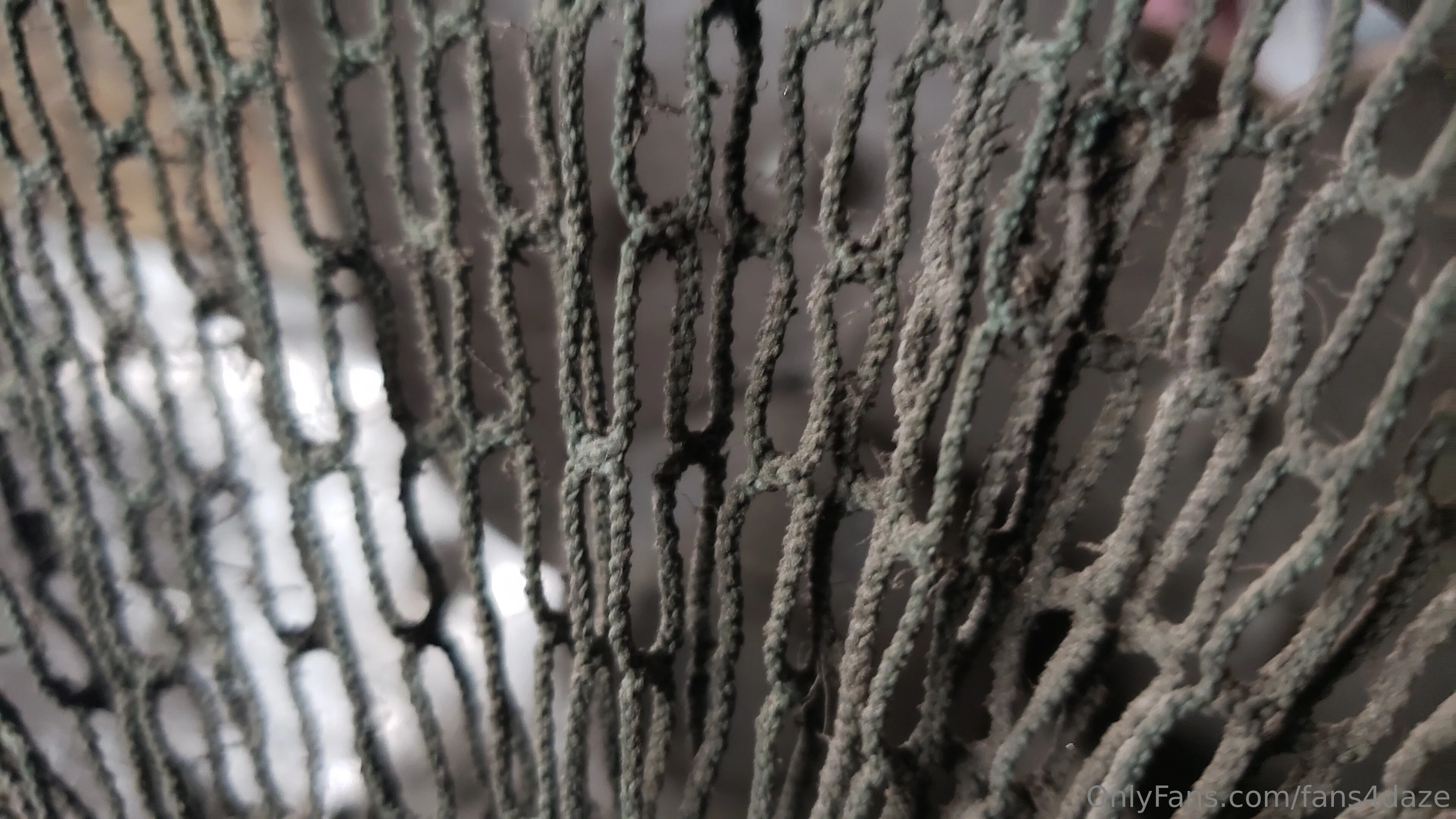 fansONLY OnlyFans premium content 1 - fans4daze exclusive collection