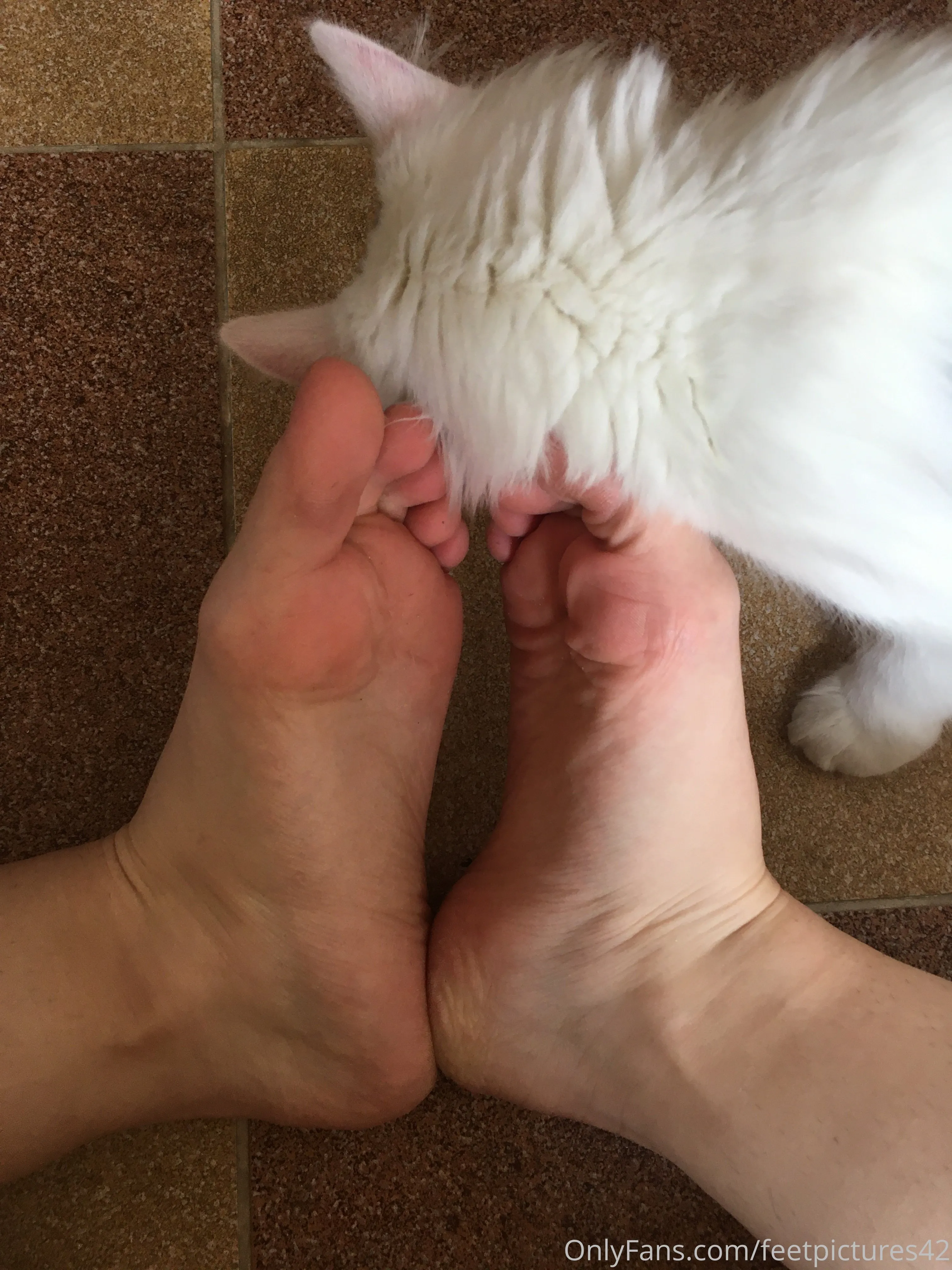 OnlyFeet1 OnlyFans premium content 5 - feetpictures42 exclusive collection