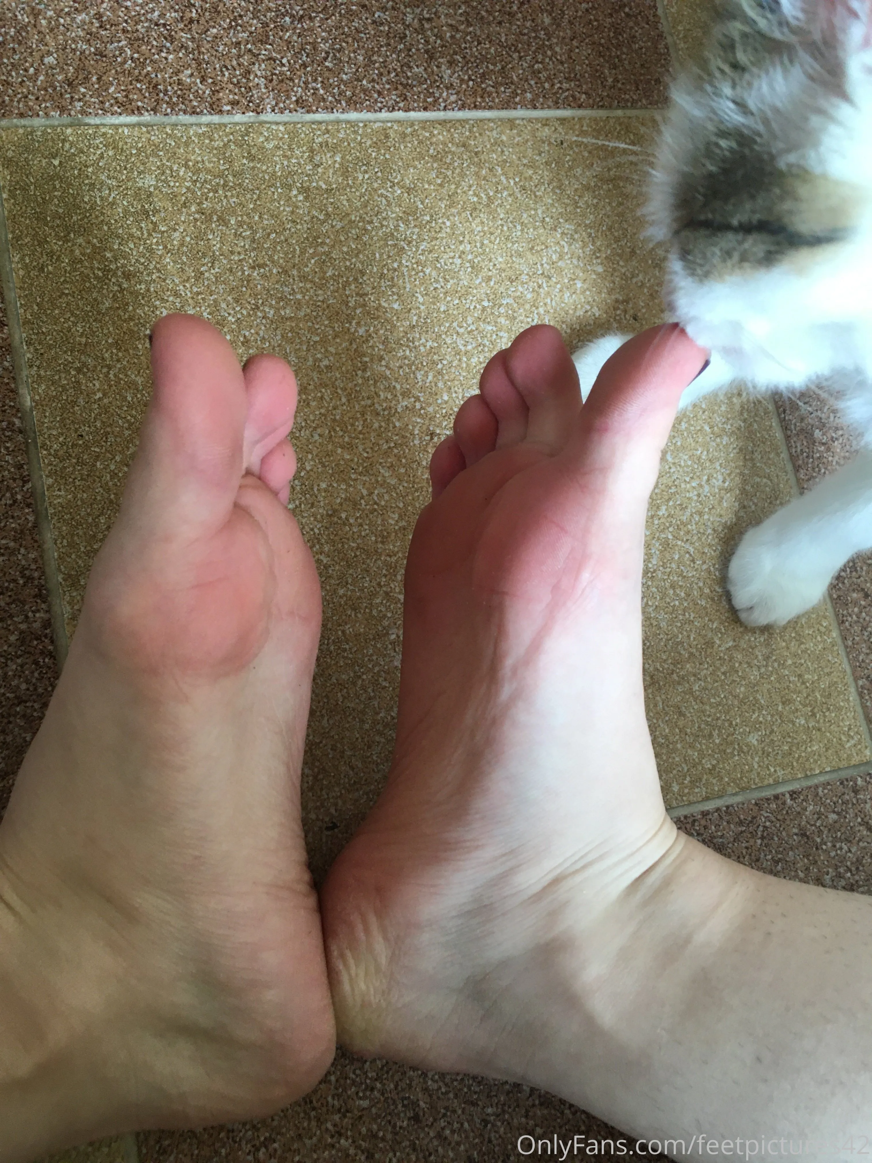 OnlyFeet1 OnlyFans premium content 4 - feetpictures42 exclusive collection