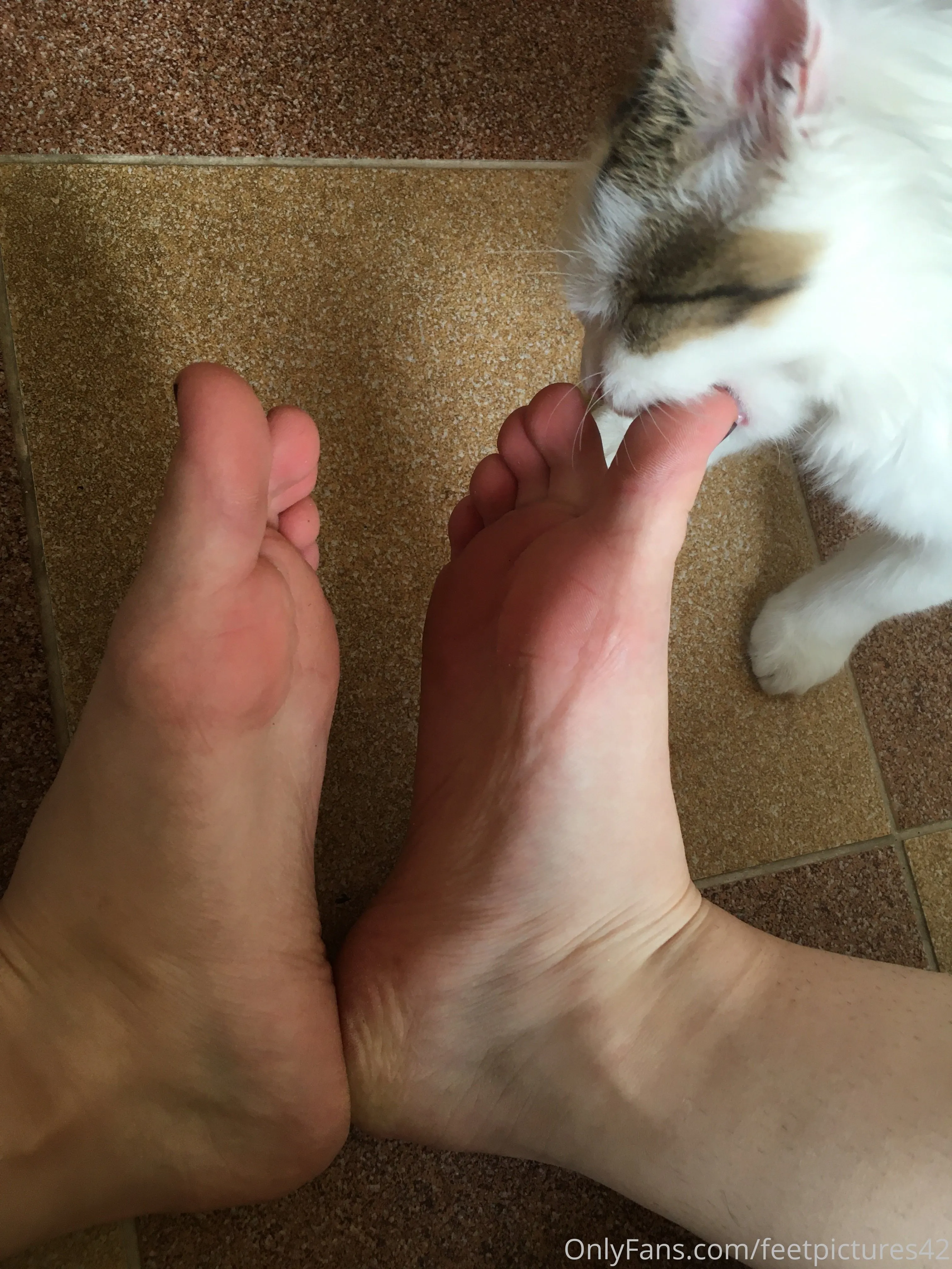 OnlyFeet1 OnlyFans premium content 3 - feetpictures42 exclusive collection