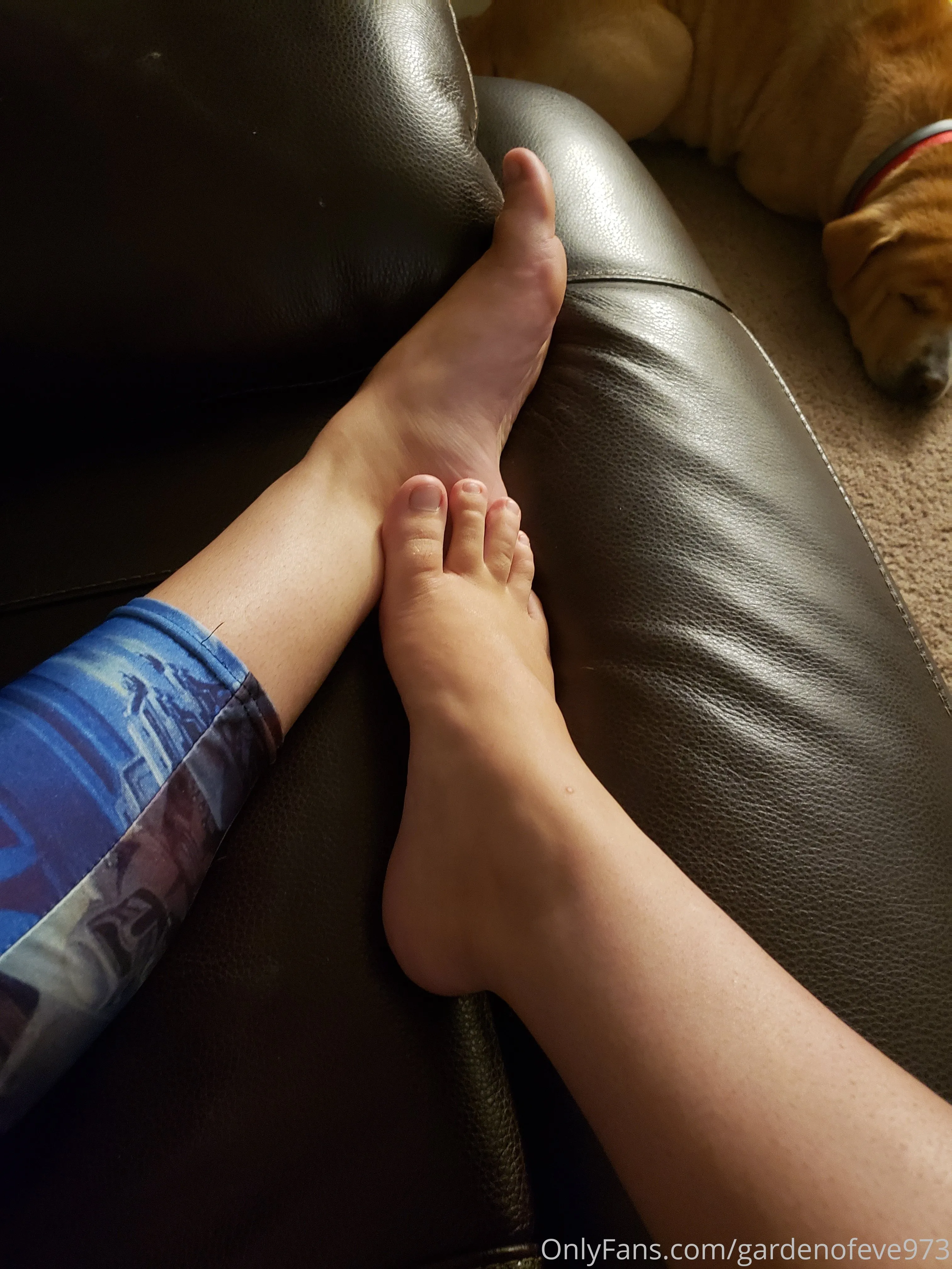 GardenofEve OnlyFans premium content 6 - gardenofeve973 exclusive collection