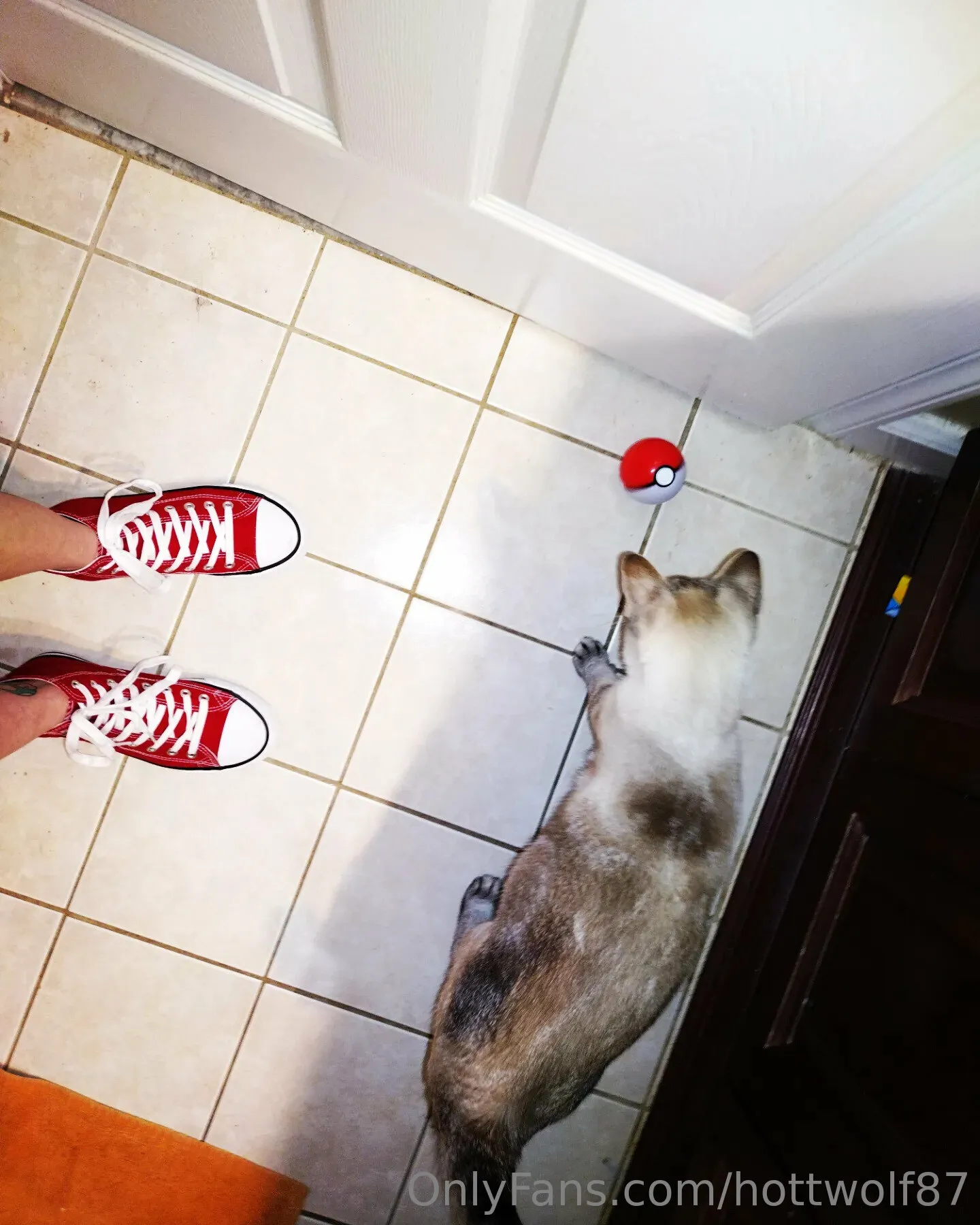 Genevieve OnlyFans premium content 9 - hottwolf87 exclusive collection