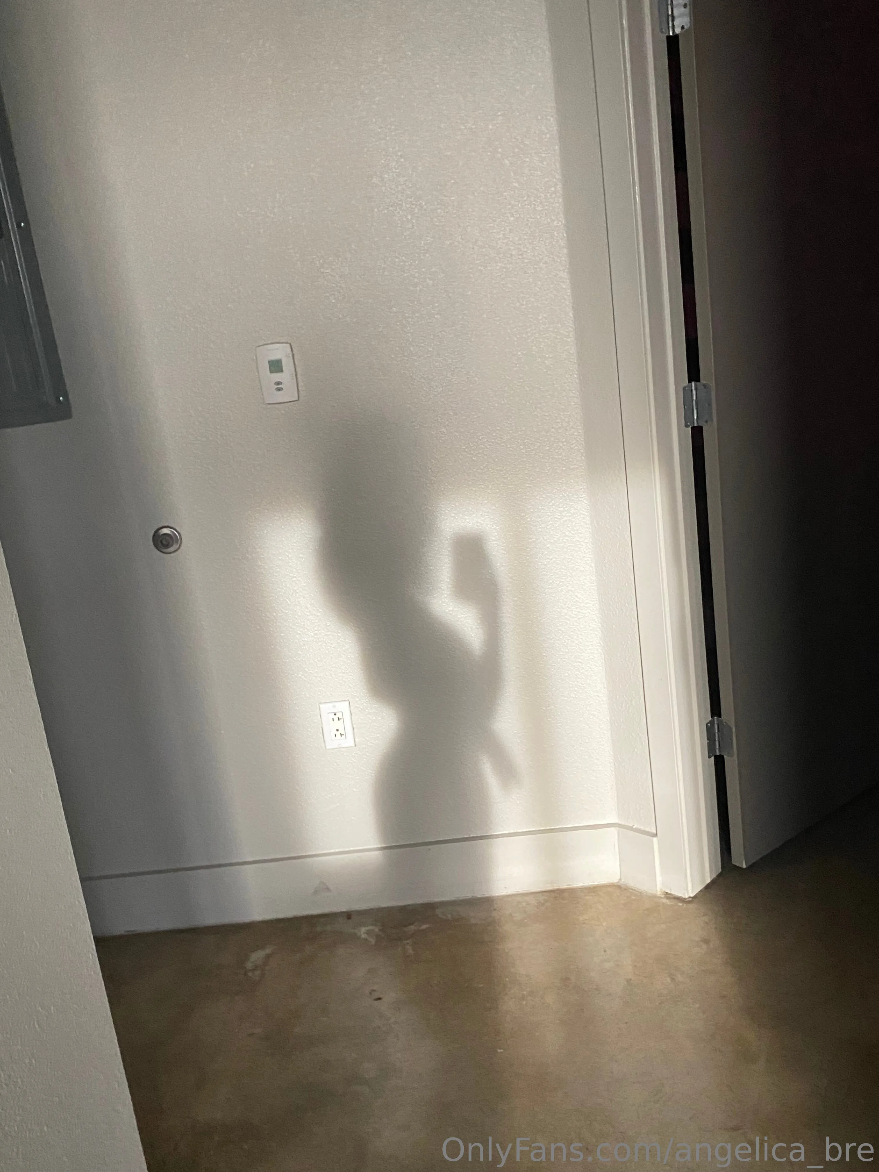 Angelica OnlyFans premium content 11 - angelica_bre exclusive collection