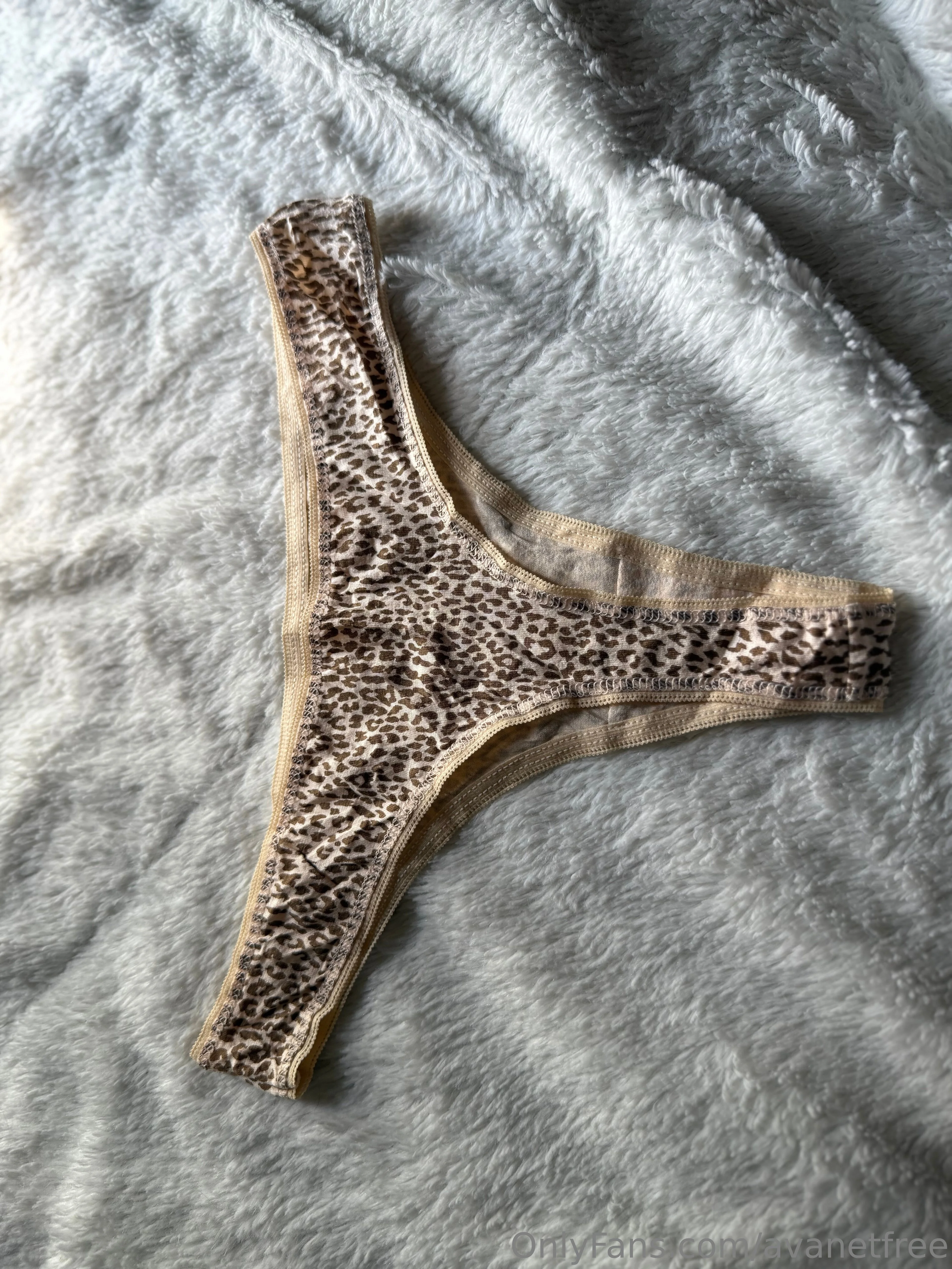 Ava ☾ OnlyFans premium content 12 - avanetfree exclusive collection