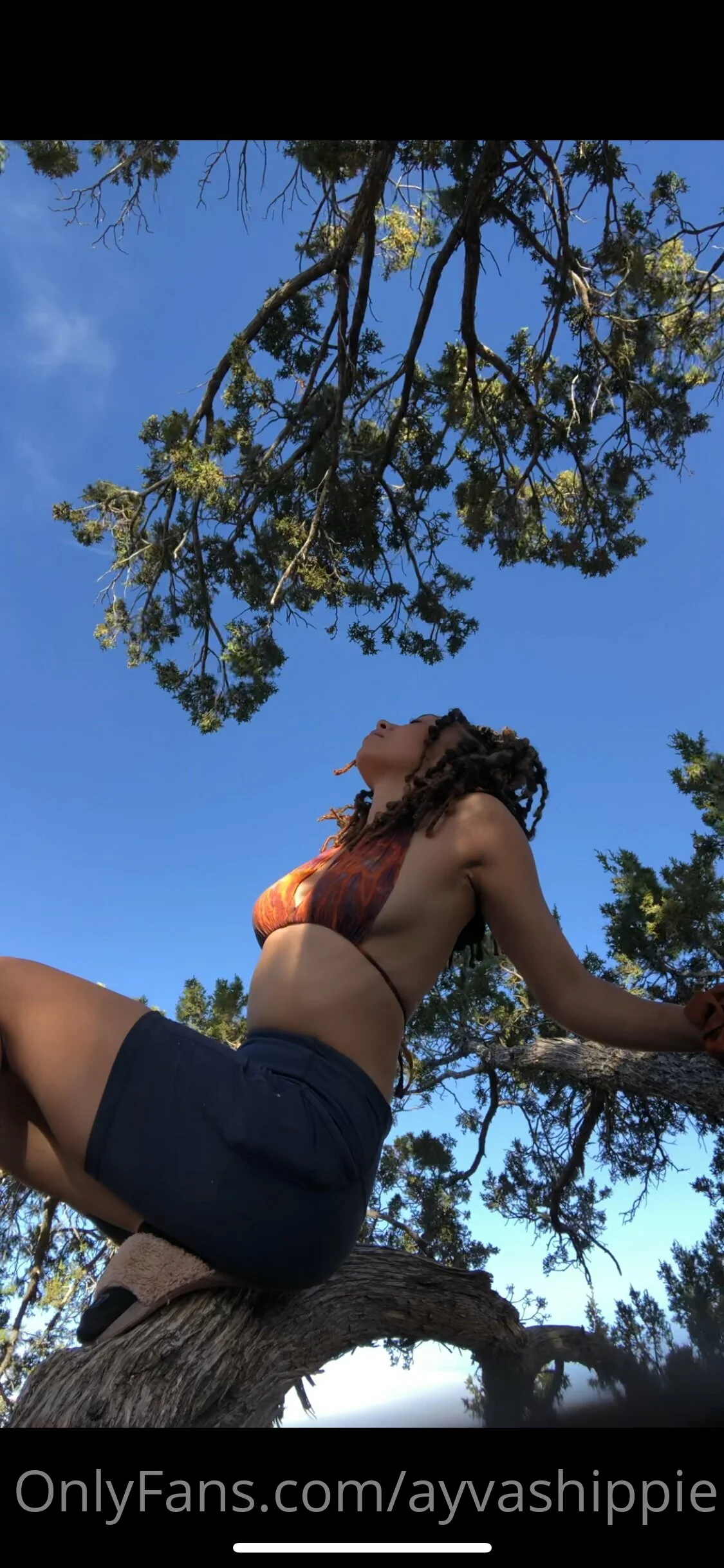 Ayva OnlyFans premium content 1 - ayvashippie exclusive collection