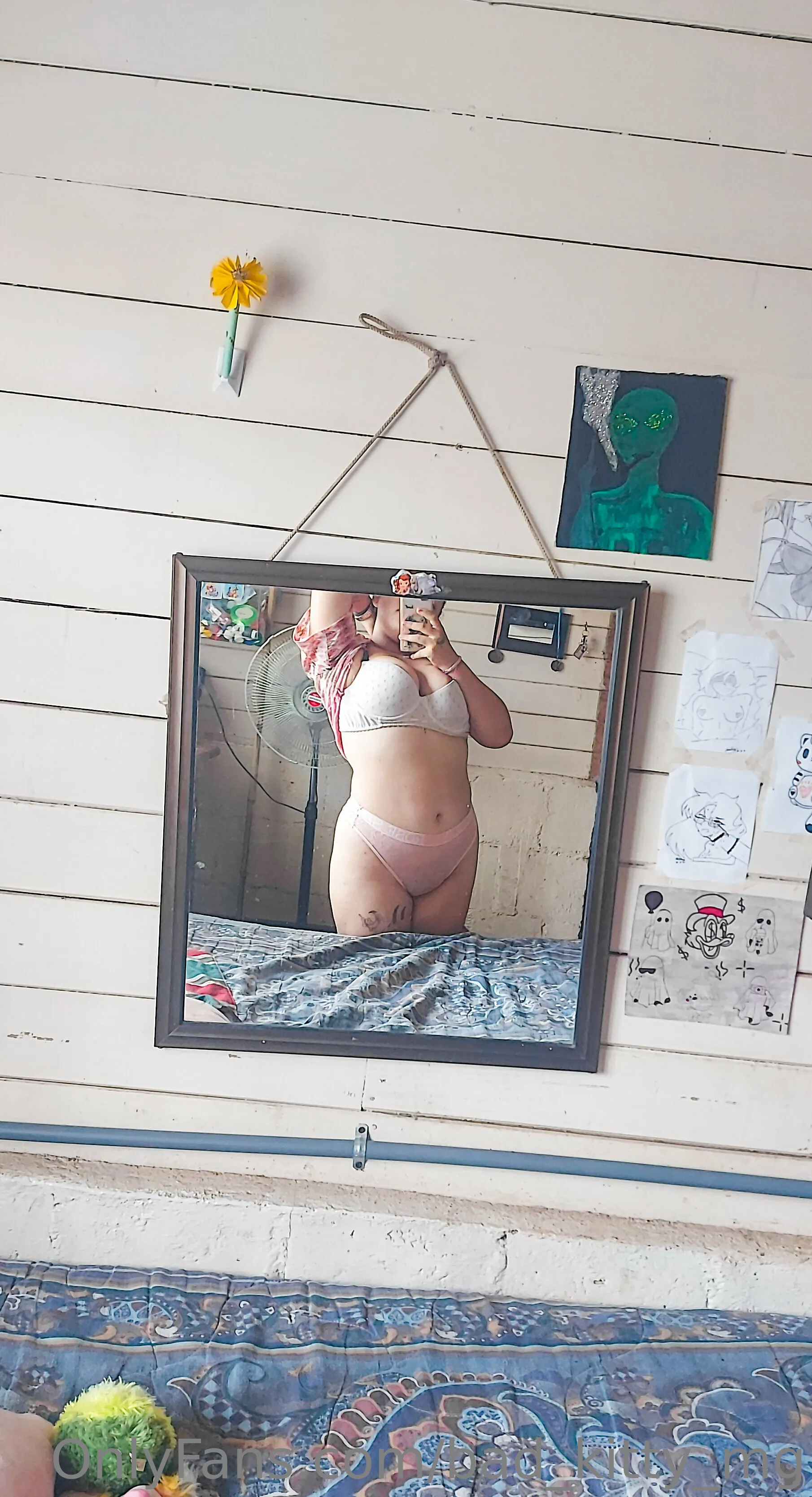 Bad_Kitty OnlyFans premium content 17 - bad_kitty_mg exclusive collection