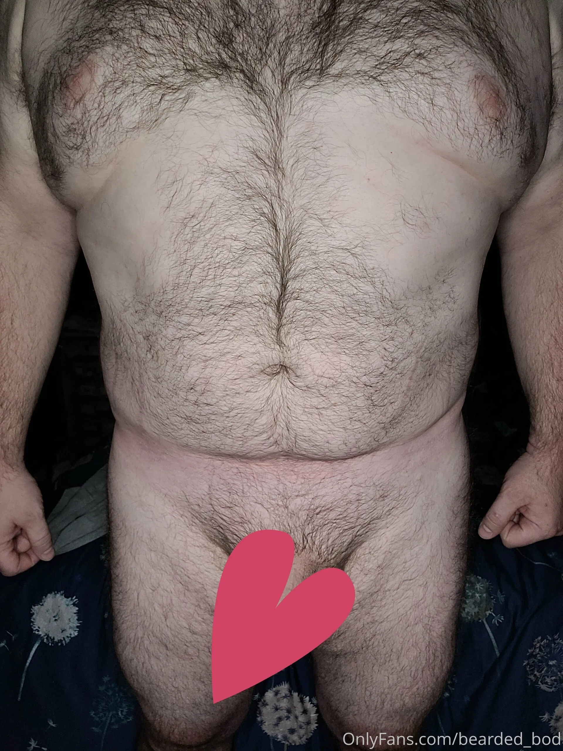 BeardedDadBod OnlyFans premium content 9 - bearded_bod exclusive collection