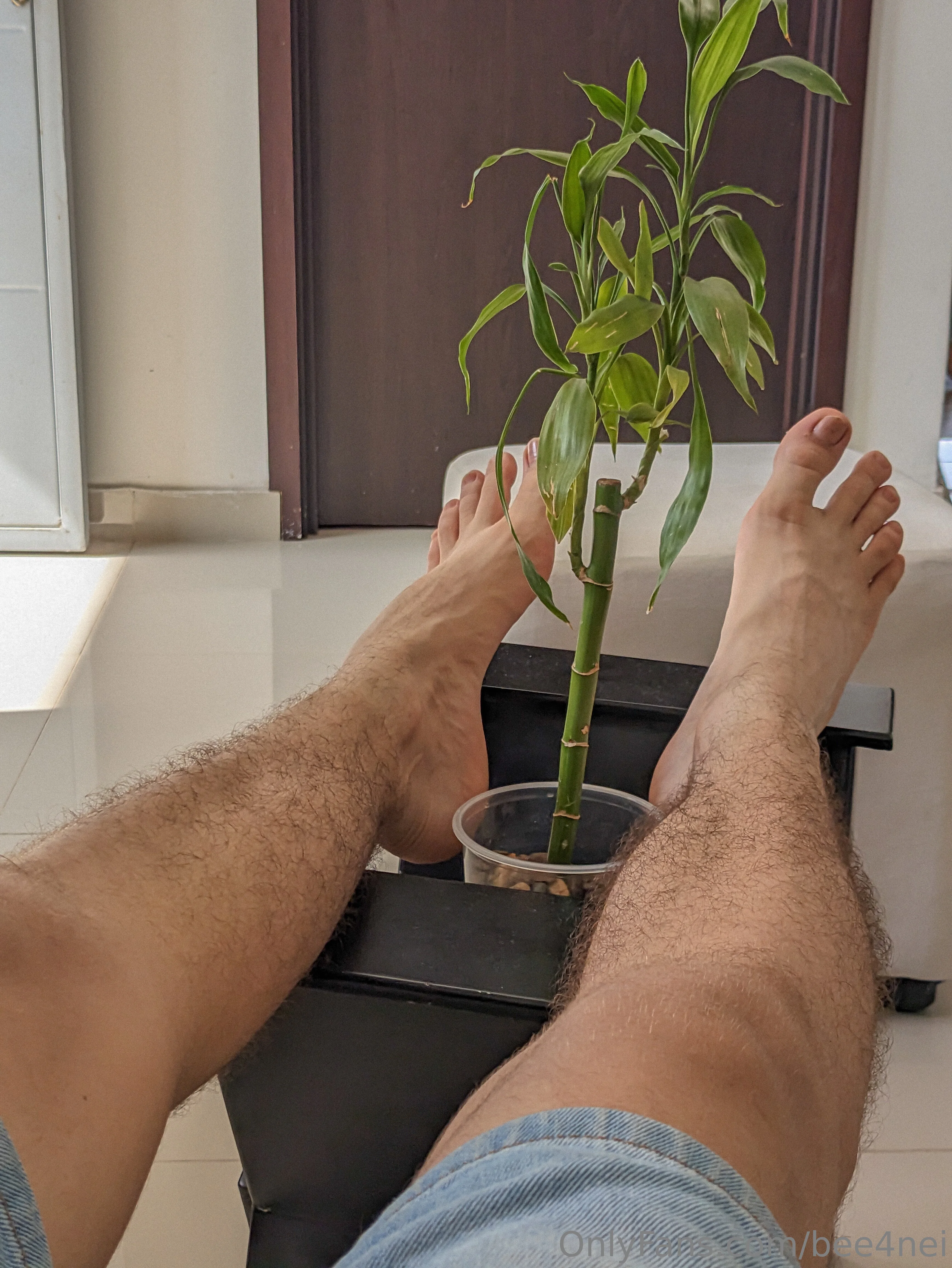 Bunny🐰 OnlyFans premium content 7 - bee4nei exclusive collection