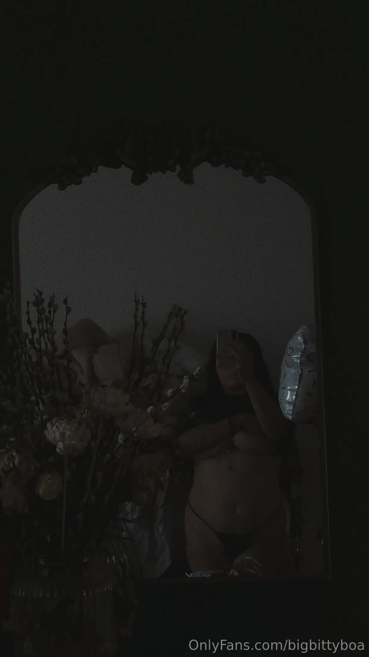 Boa 🐍💦 OnlyFans premium content 6 - bigbittyboa exclusive collection