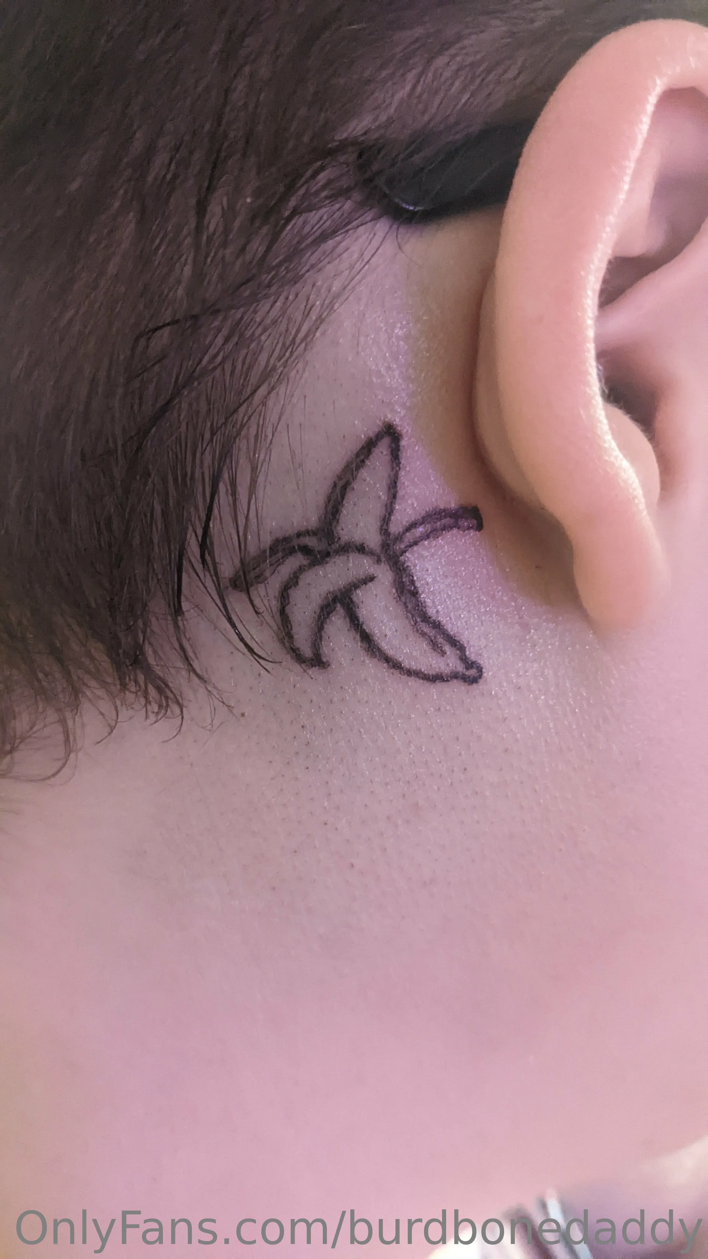 Shrike OnlyFans premium content 9 - burdbonedaddy exclusive collection