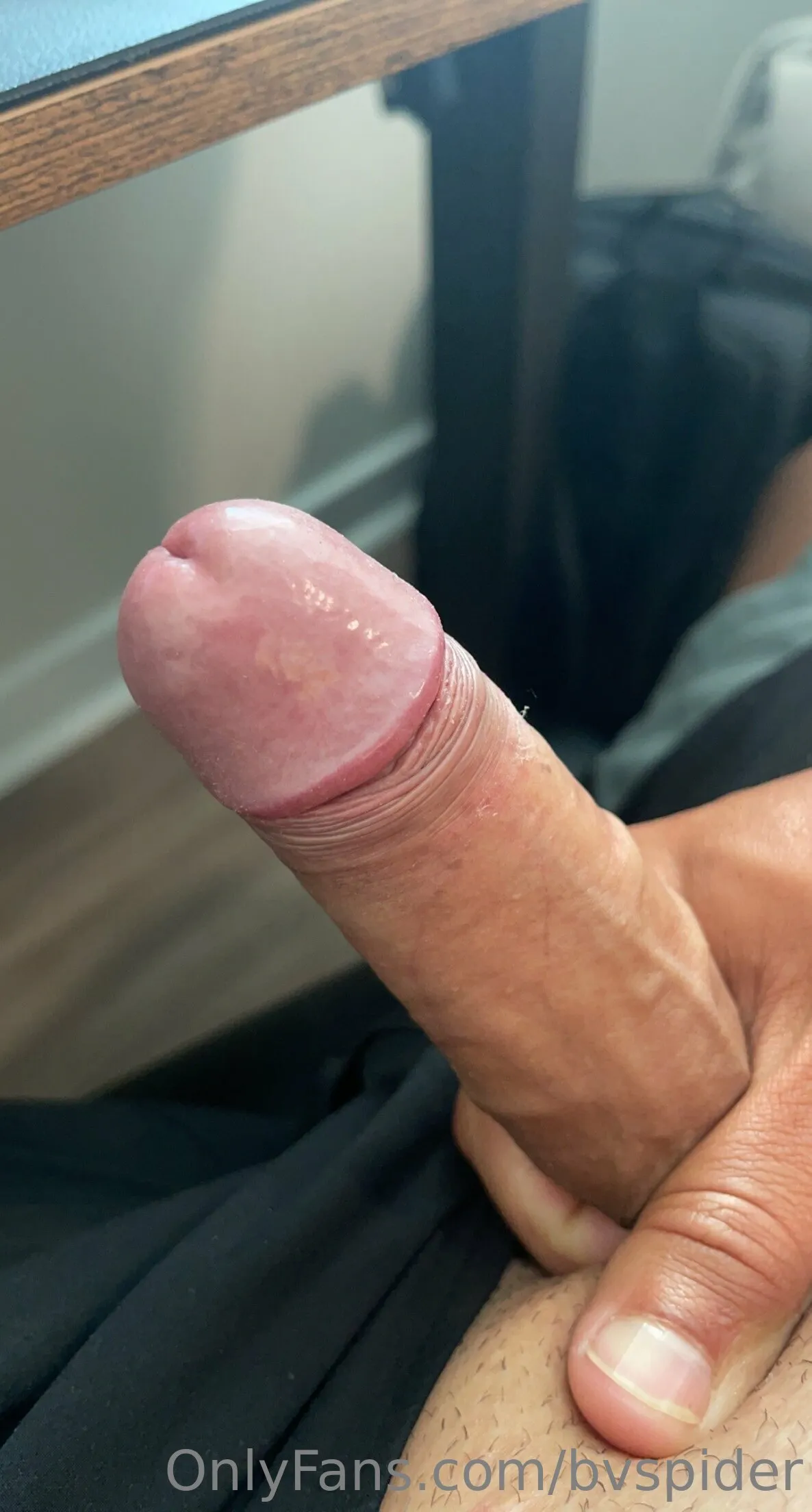 Velvet Spider OnlyFans premium content 4 - bvspider exclusive collection