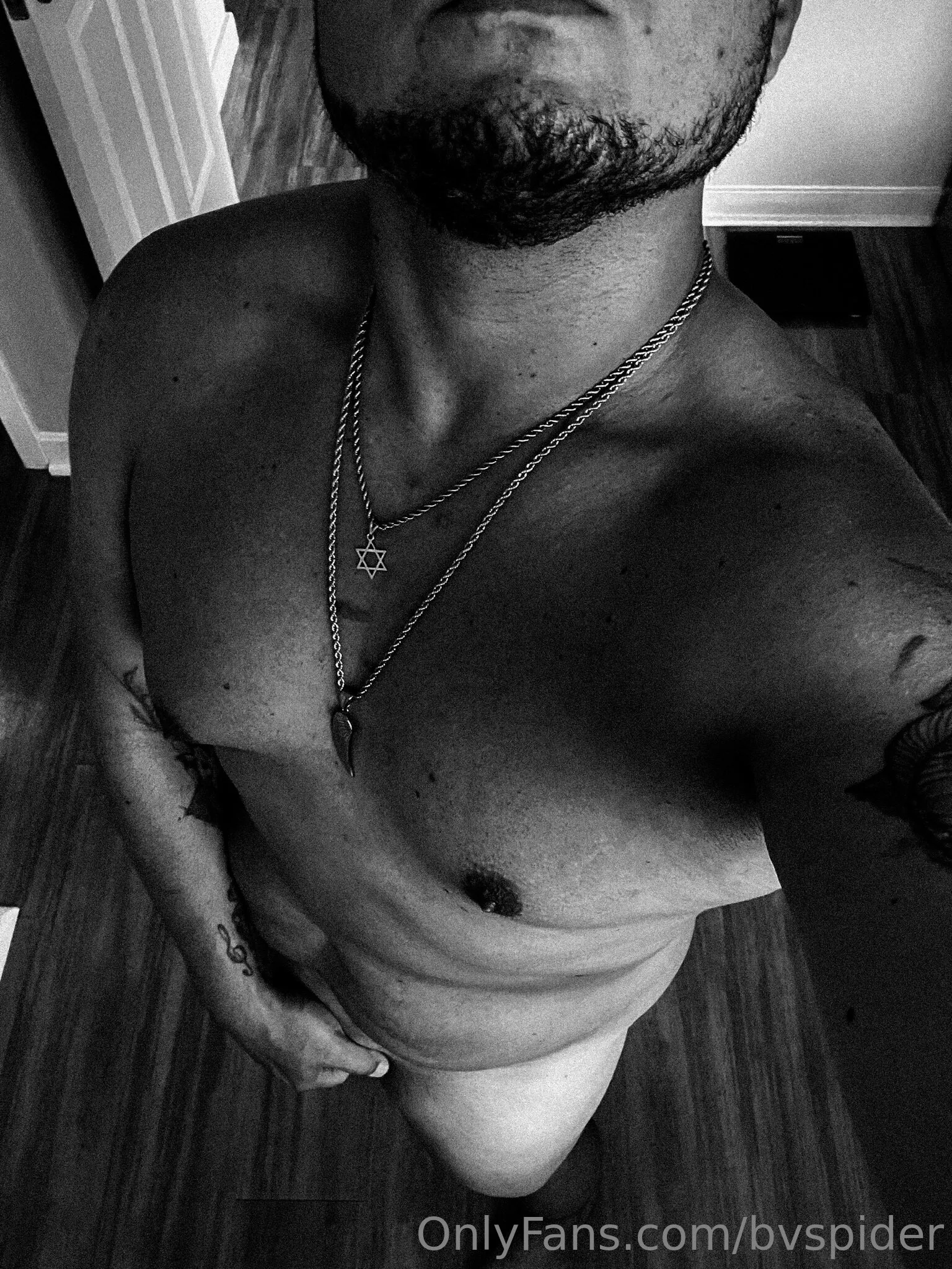 Velvet Spider OnlyFans premium content 3 - bvspider exclusive collection