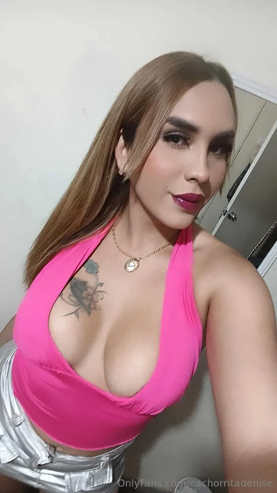 Ts Denise De la Vega OnlyFans premium content 8 - cachorritadenise exclusive collection
