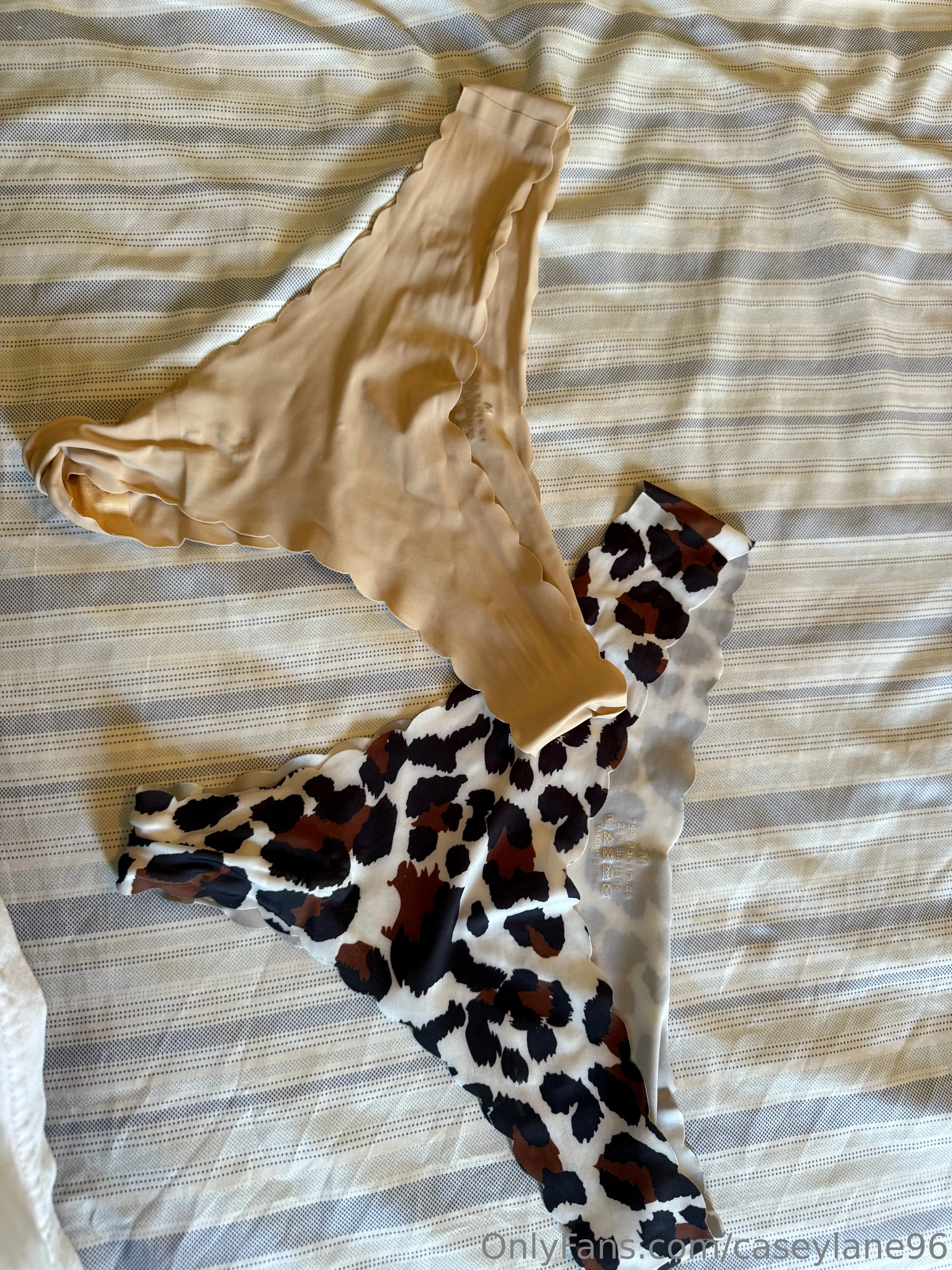 Casey Lane OnlyFans premium content 6 - caseylane96 exclusive collection