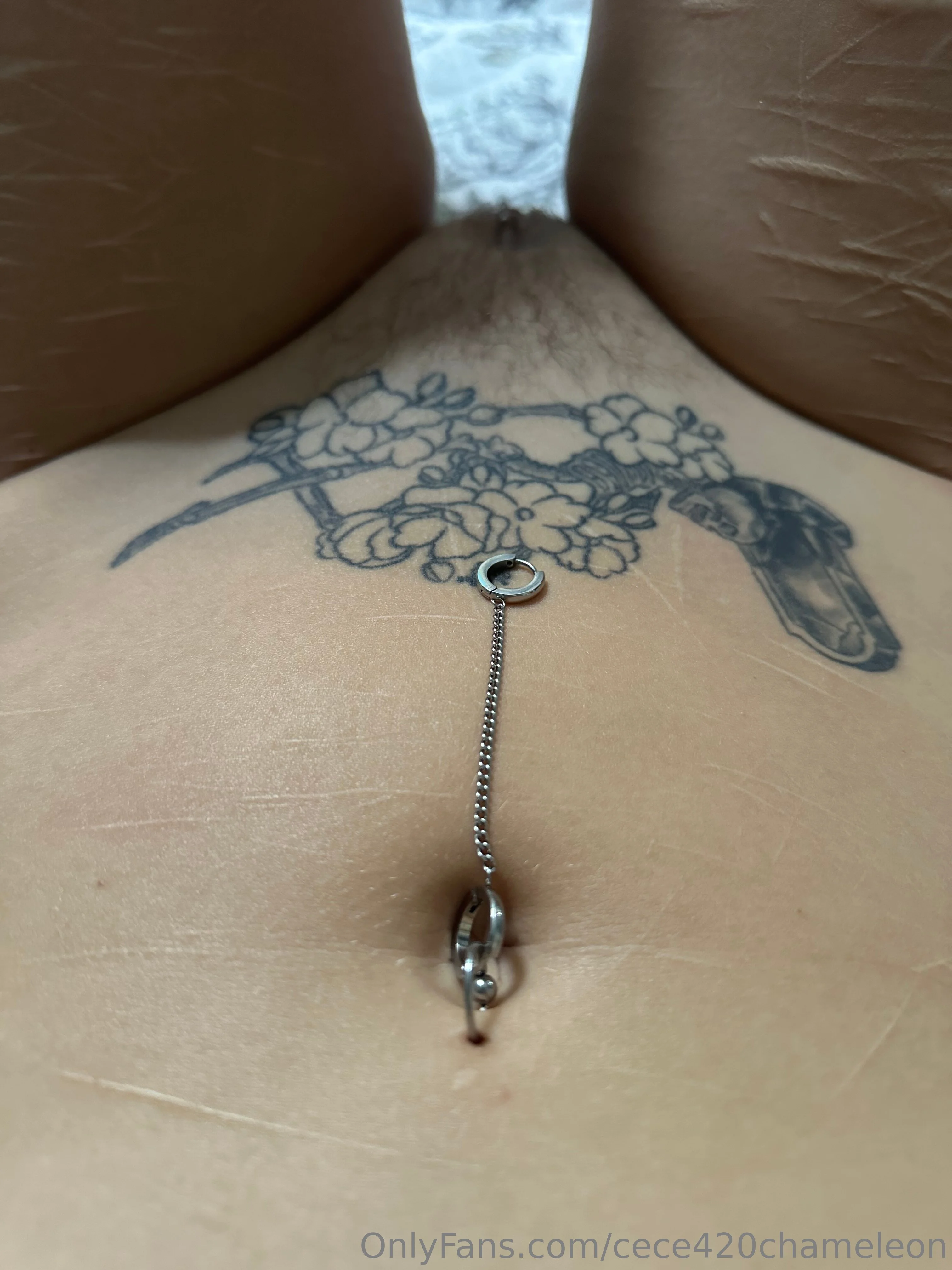 Cece Chameleon OnlyFans premium content 5 - cece420chameleon exclusive collection