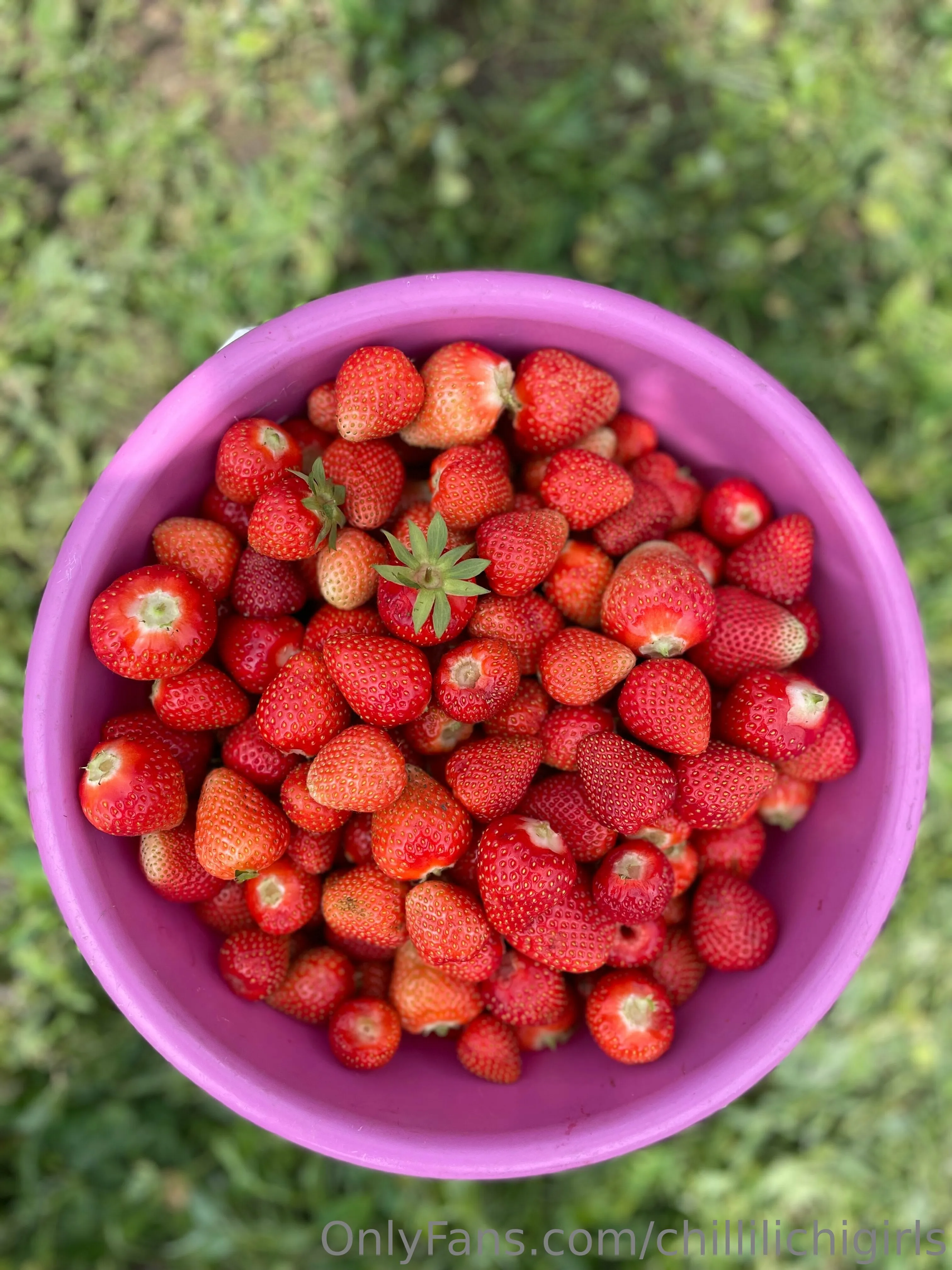 Chilli Lichi OnlyFans premium content 14 - chillilichigirls exclusive collection