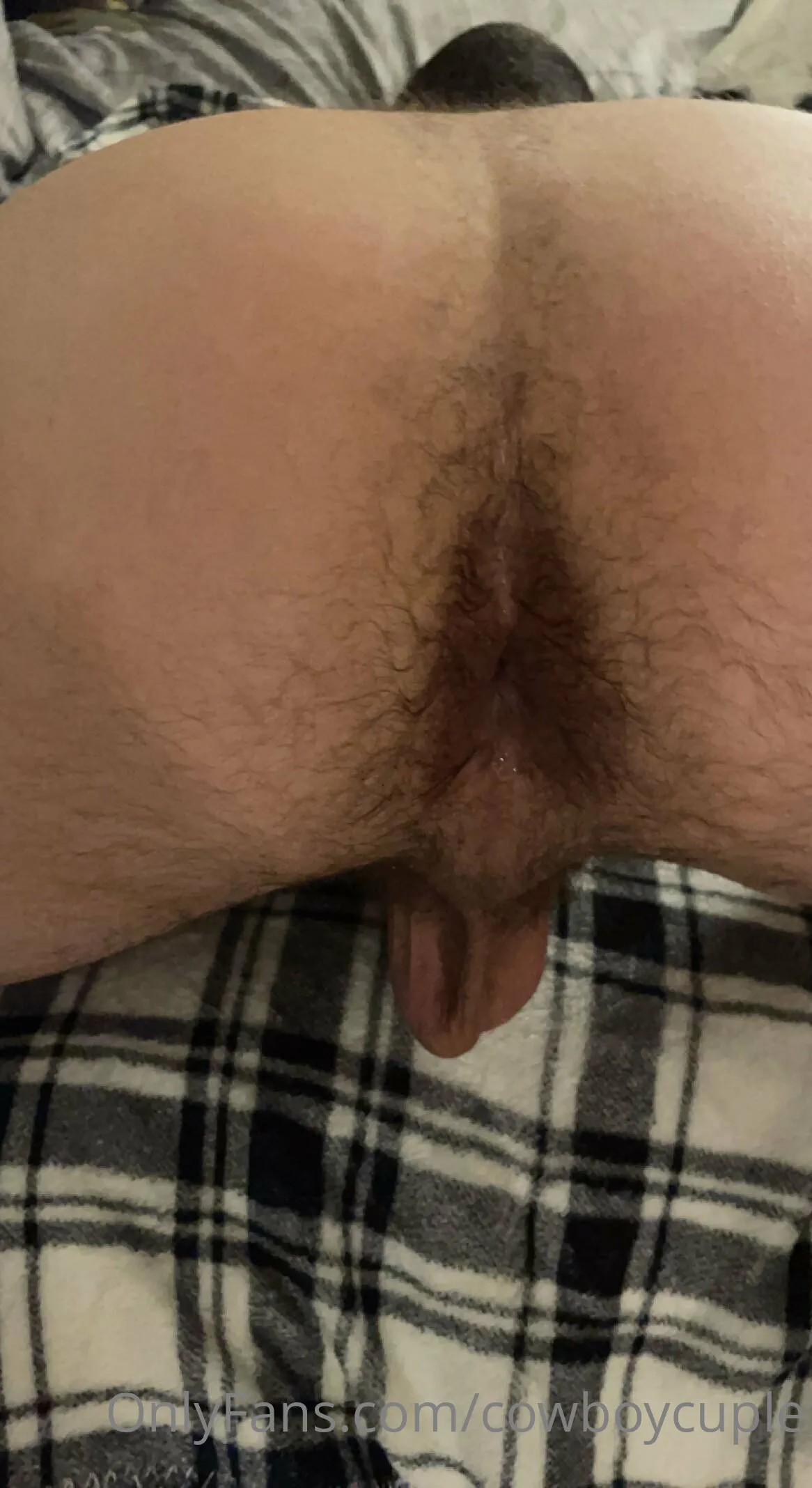 CowboyCub OnlyFans premium content 25 - furrydenverbro exclusive collection