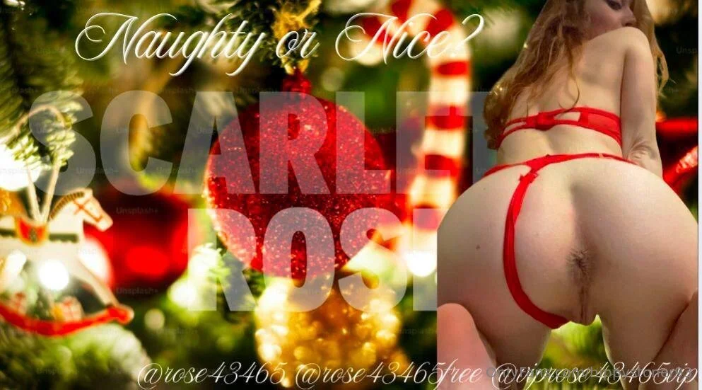 🖤Hippystoner93🖤FREE🖤 OnlyFans premium content 4 - hippystoner93 exclusive collection