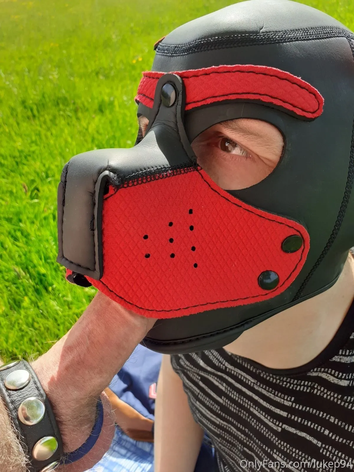 Pup94 OnlyFans premium content 16 - lukep94 exclusive collection