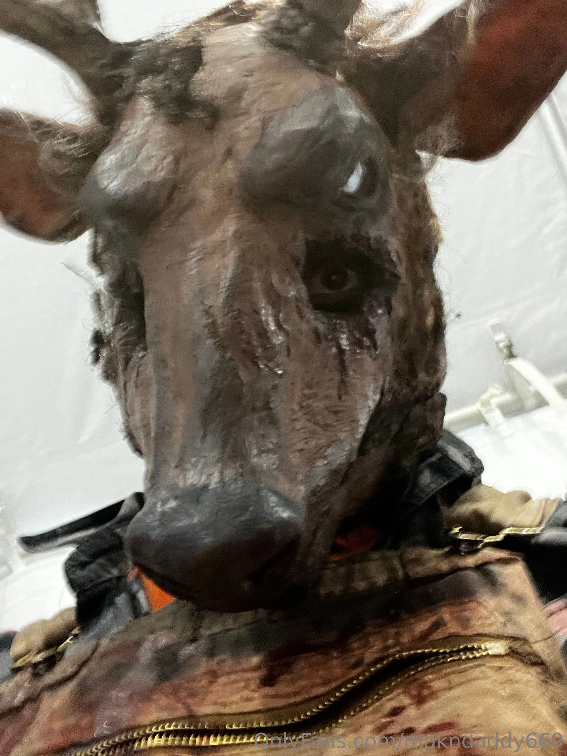 Makn Daddy OnlyFans premium content 6 - makndaddy669 exclusive collection