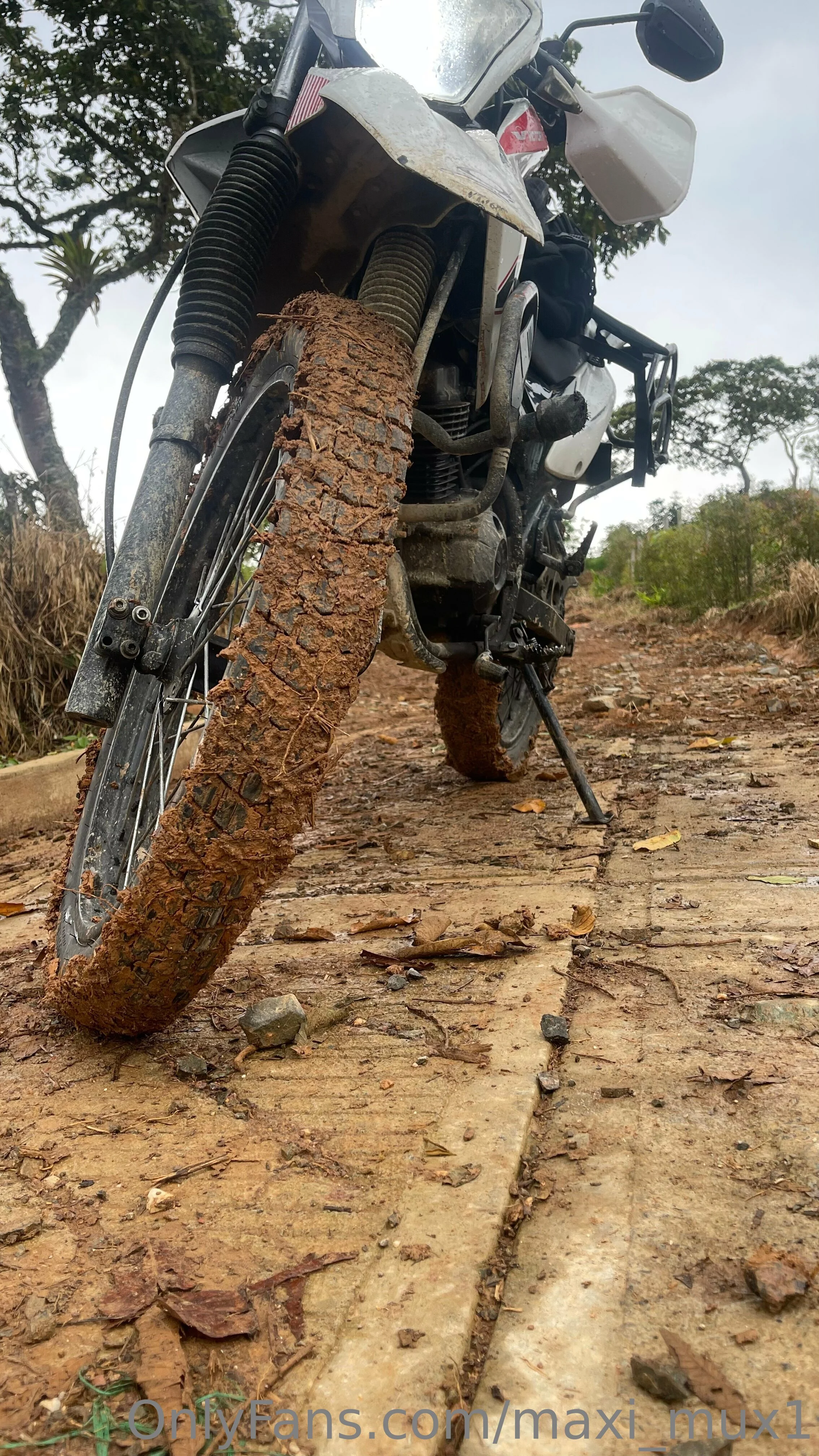 Maxi_Mux1 OnlyFans premium content 9 - maxi_mux1 exclusive collection