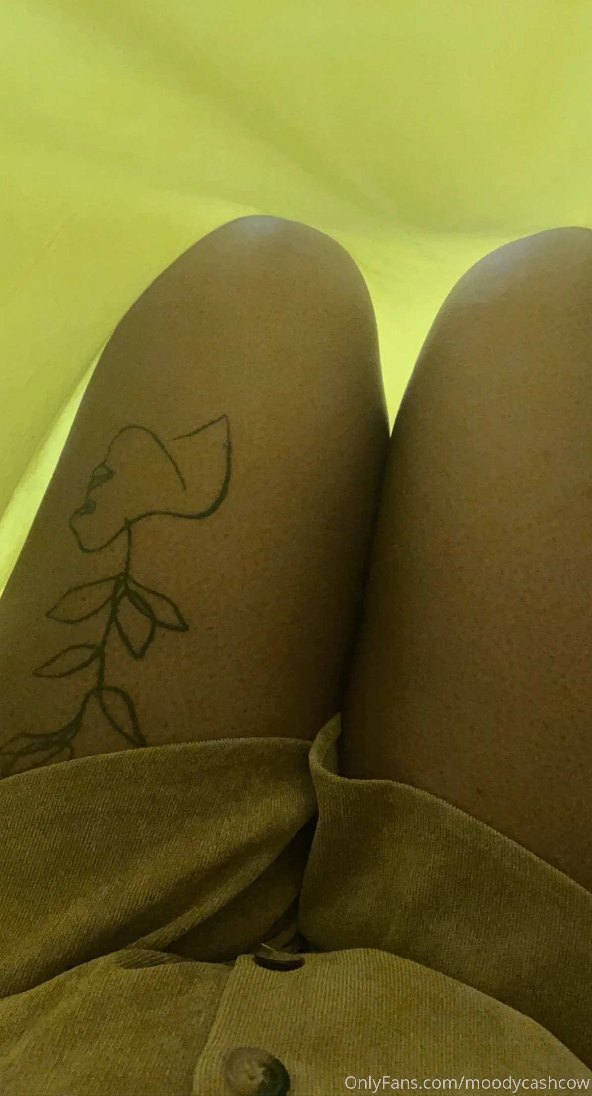 ✨Angel✨ OnlyFans premium content 17 - moodycashcow exclusive collection