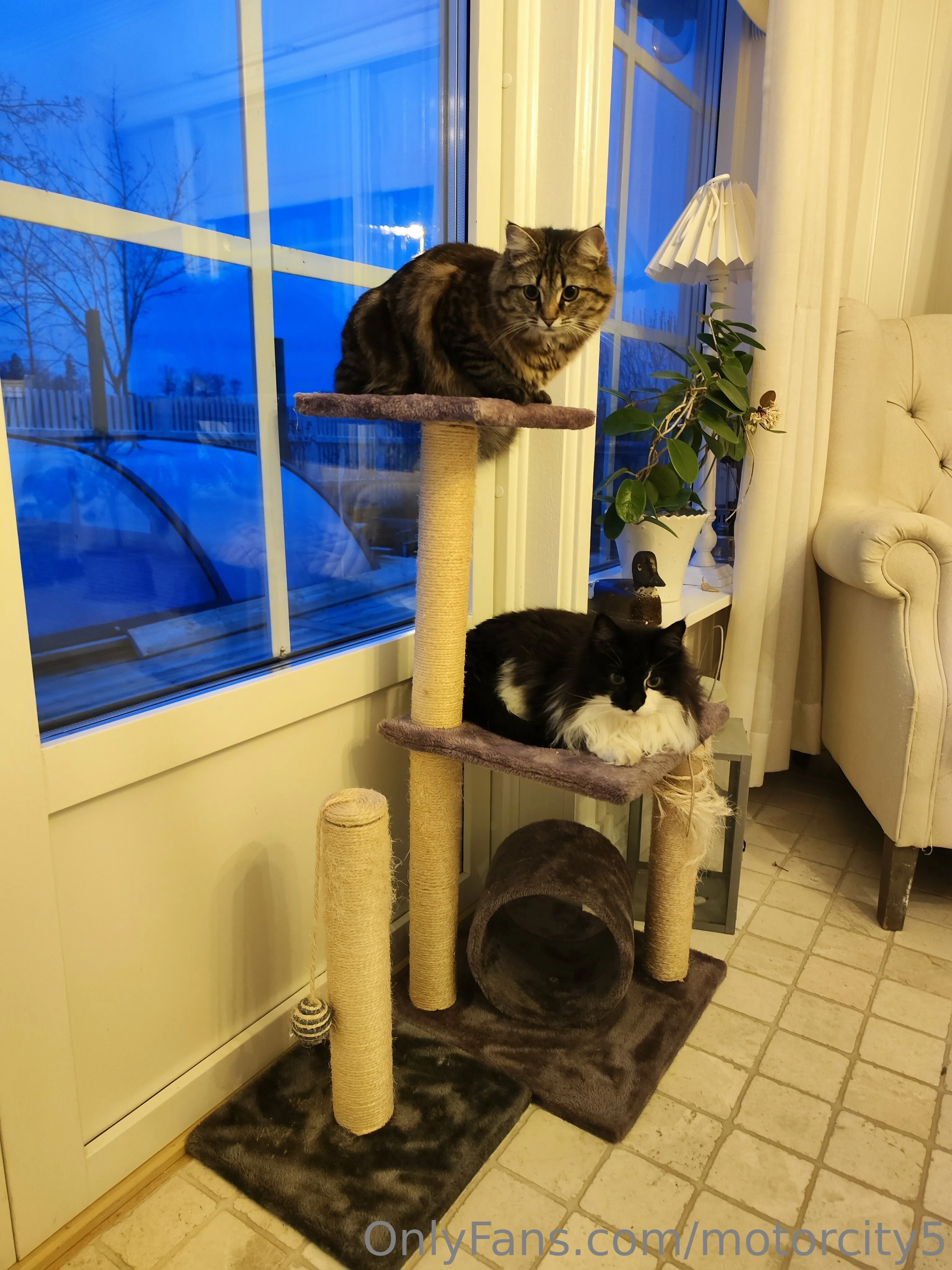 Andreas Engelholm OnlyFans premium content 3 - motorcity5 exclusive collection