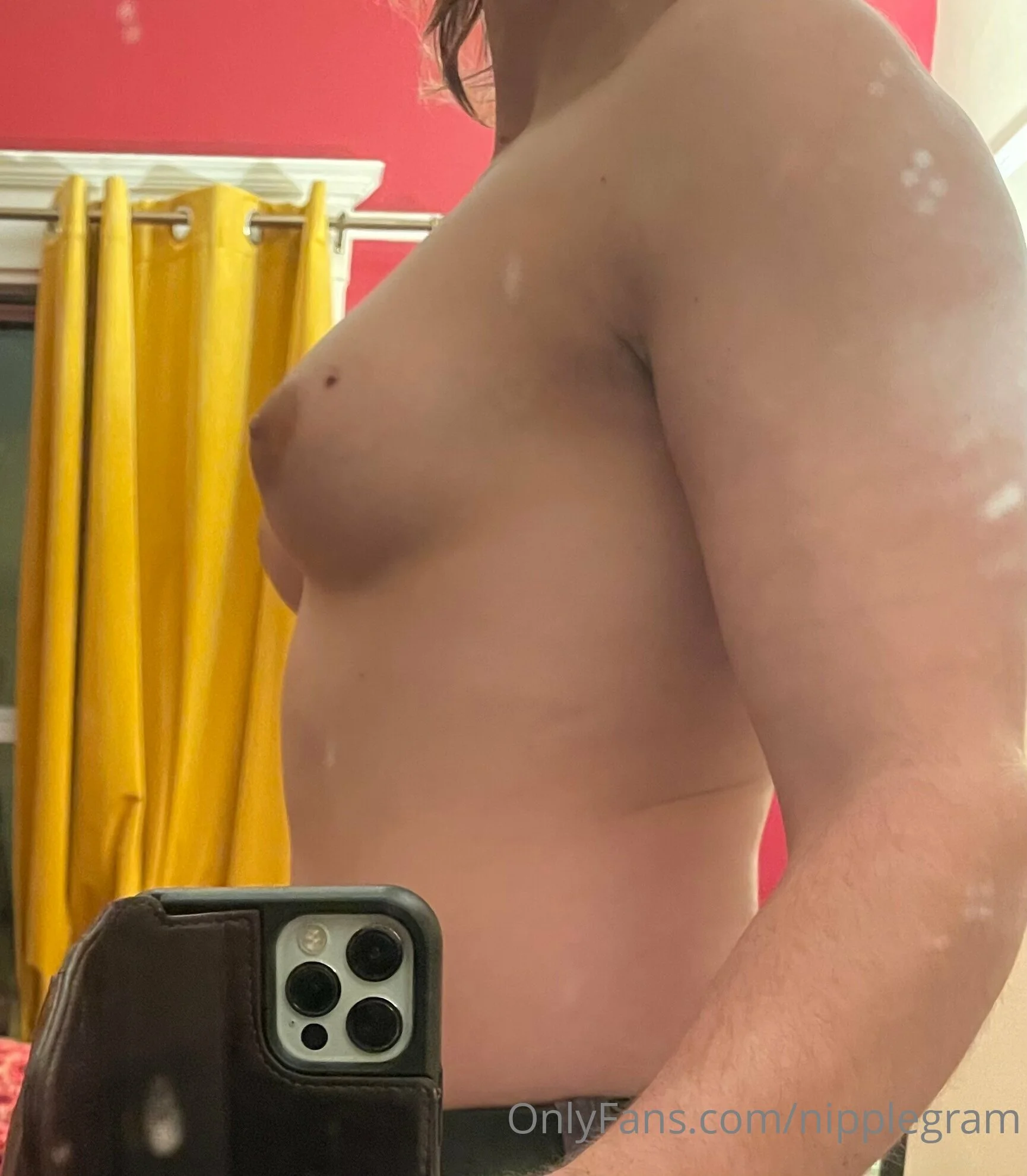 Daily Nipplegram OnlyFans premium content 13 - nipplegram exclusive collection