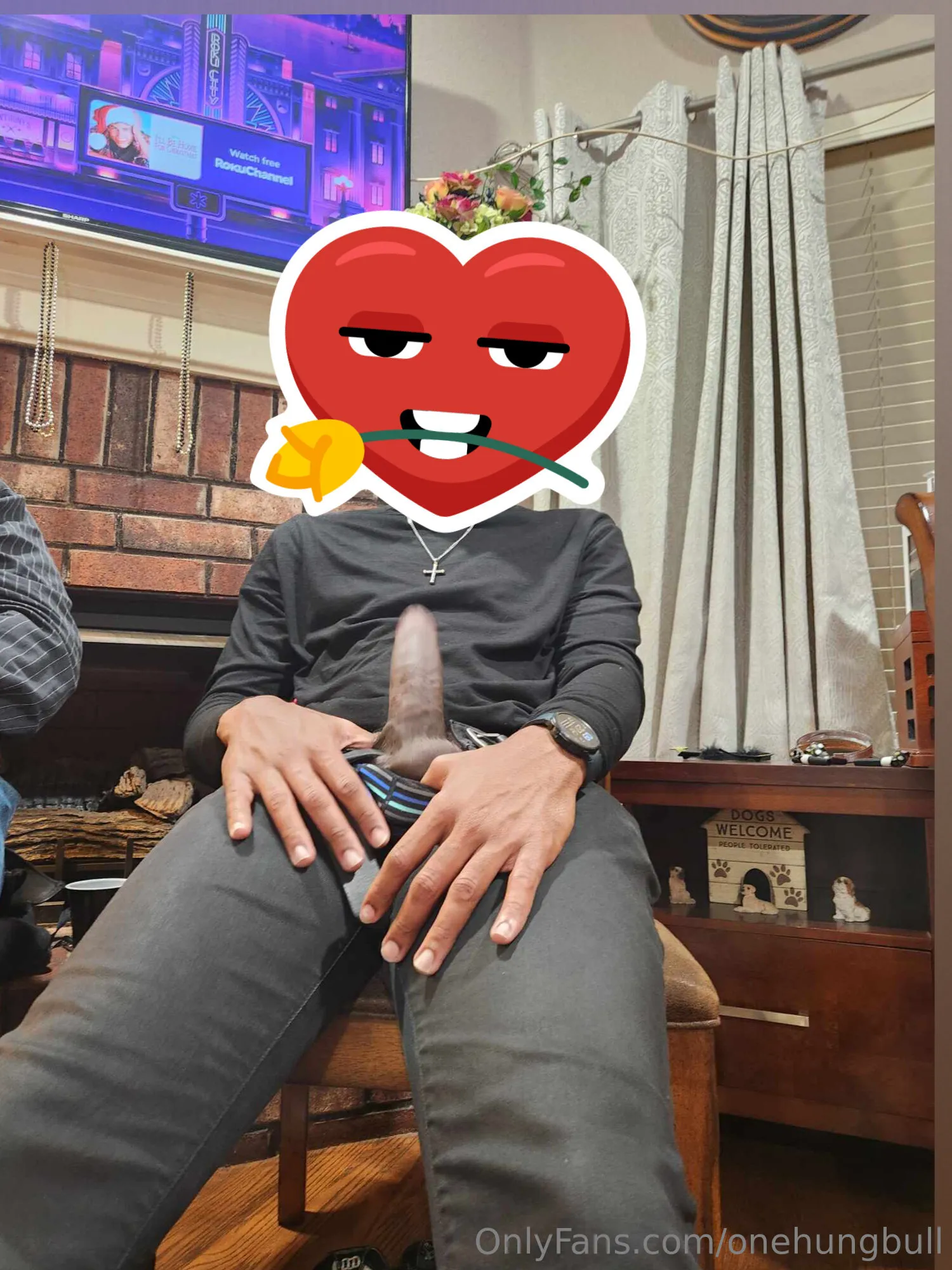 One Hung Bull OnlyFans premium content 1 - onehungbull exclusive collection