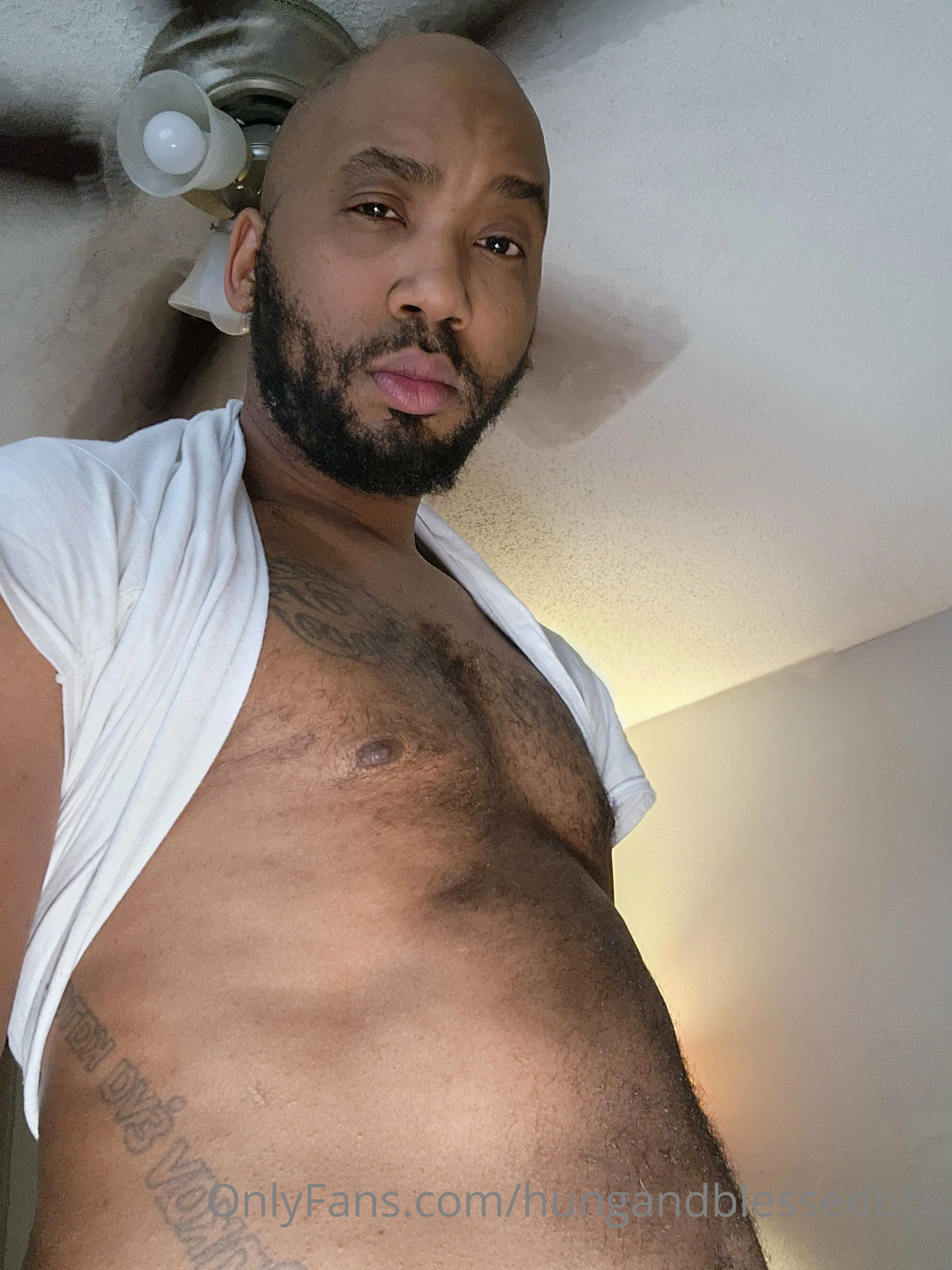 One Hung Bull OnlyFans premium content 8 - onehungbull exclusive collection