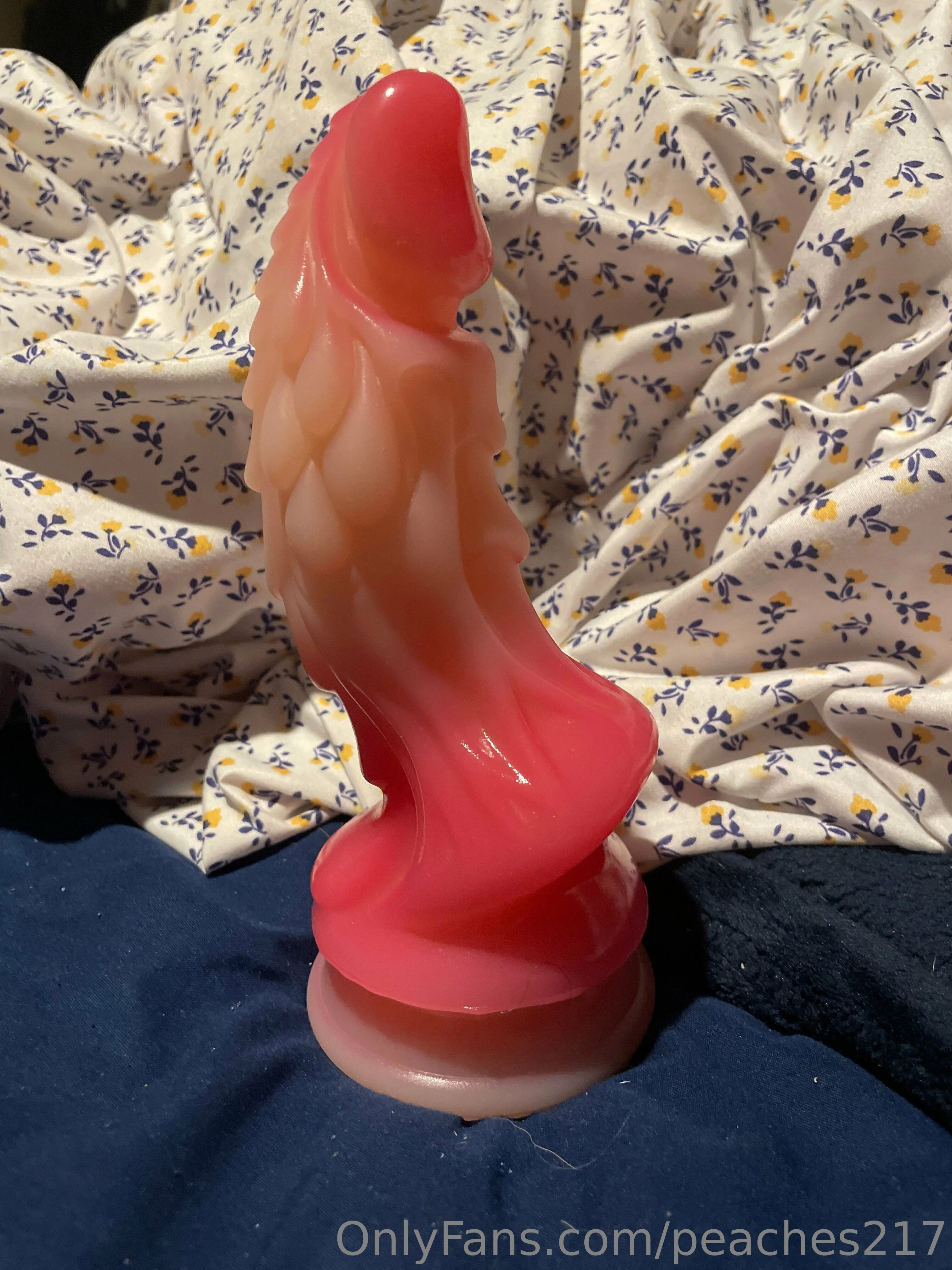 SweetPeach OnlyFans premium content 2 - peaches217 exclusive collection