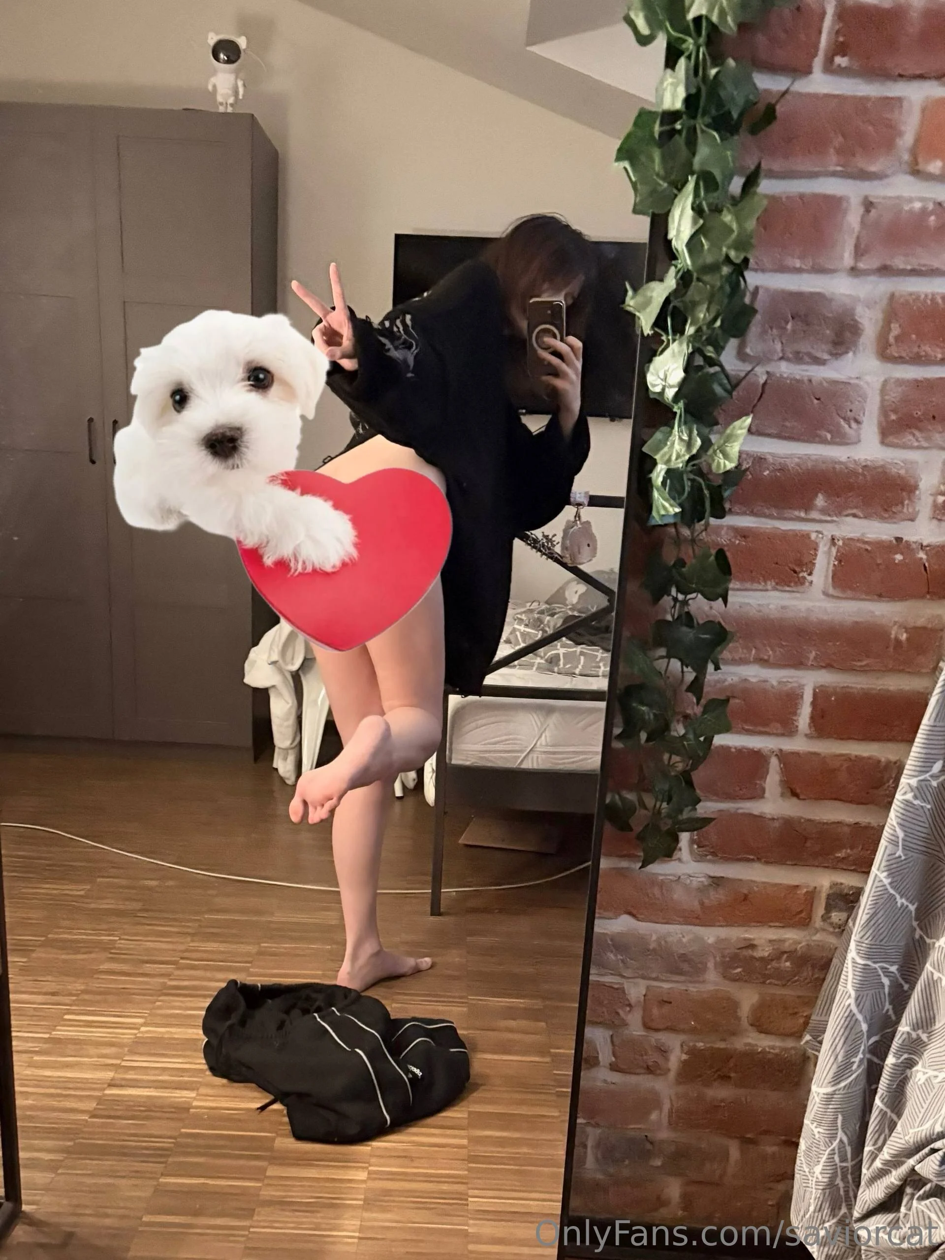 Alina OnlyFans premium content 17 - saviorcat exclusive collection