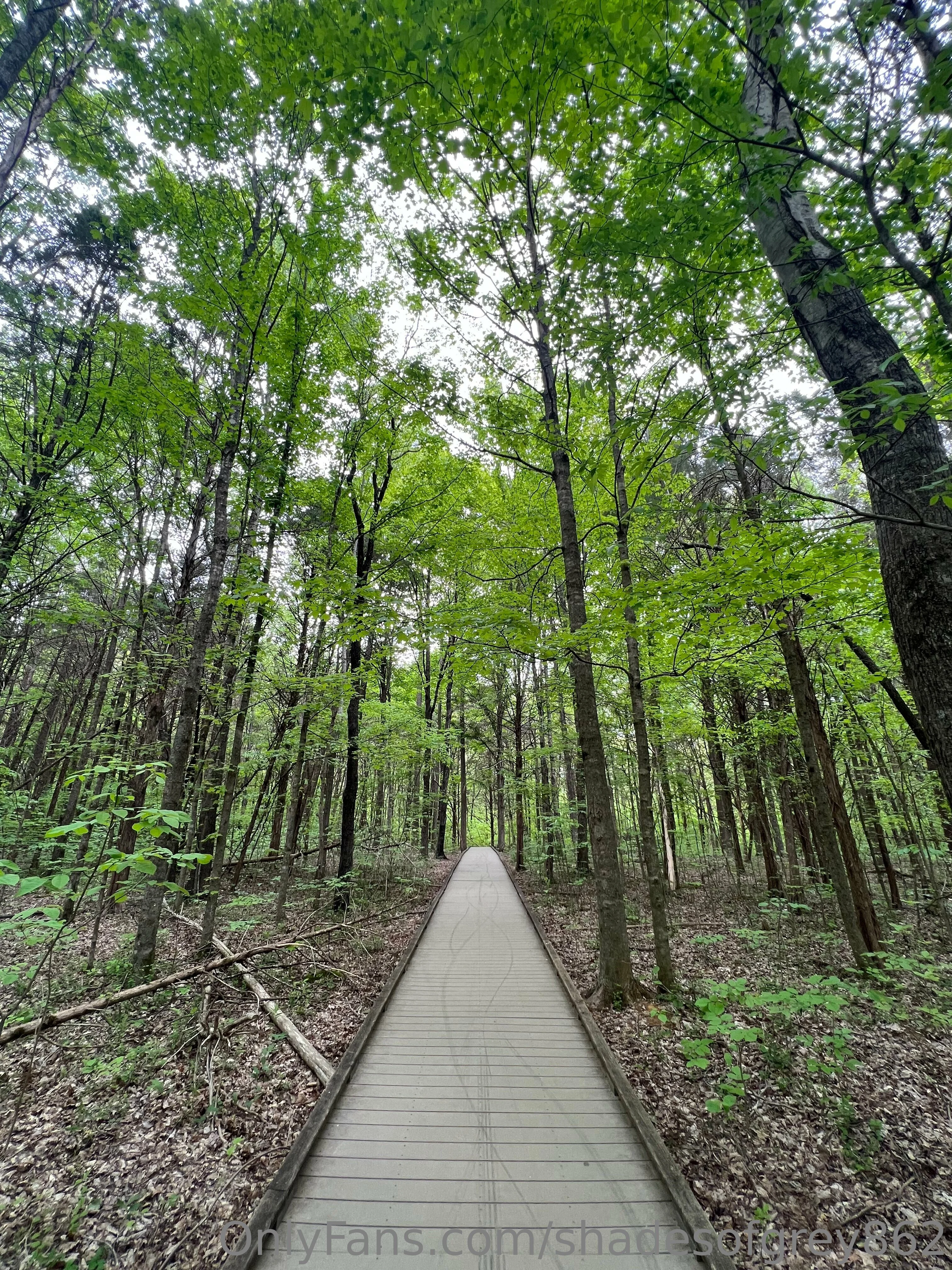 Christian OnlyFans premium content 9 - shadesofgrey862 exclusive collection