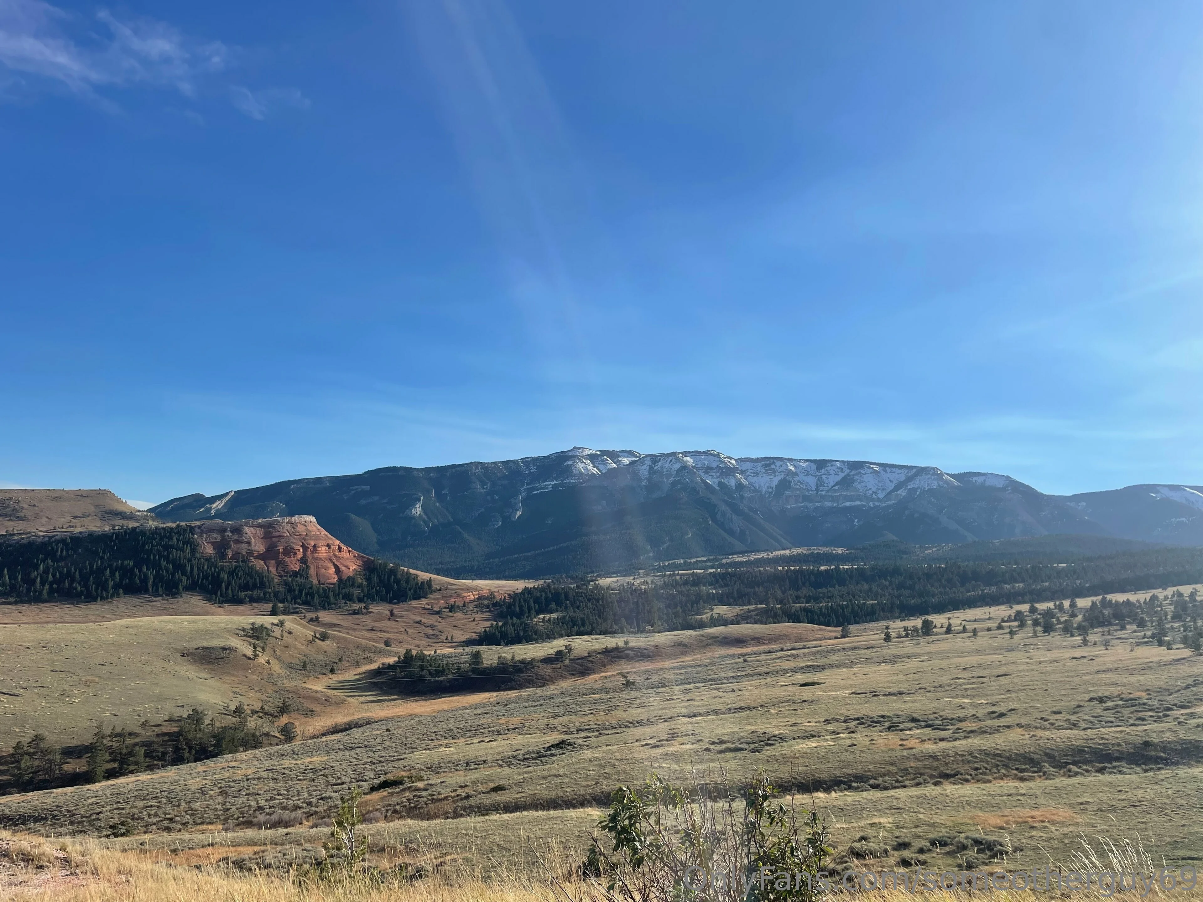 Мишка Michael 🐻‍❄️ OnlyFans premium content 4 - someotherguy69 exclusive collection