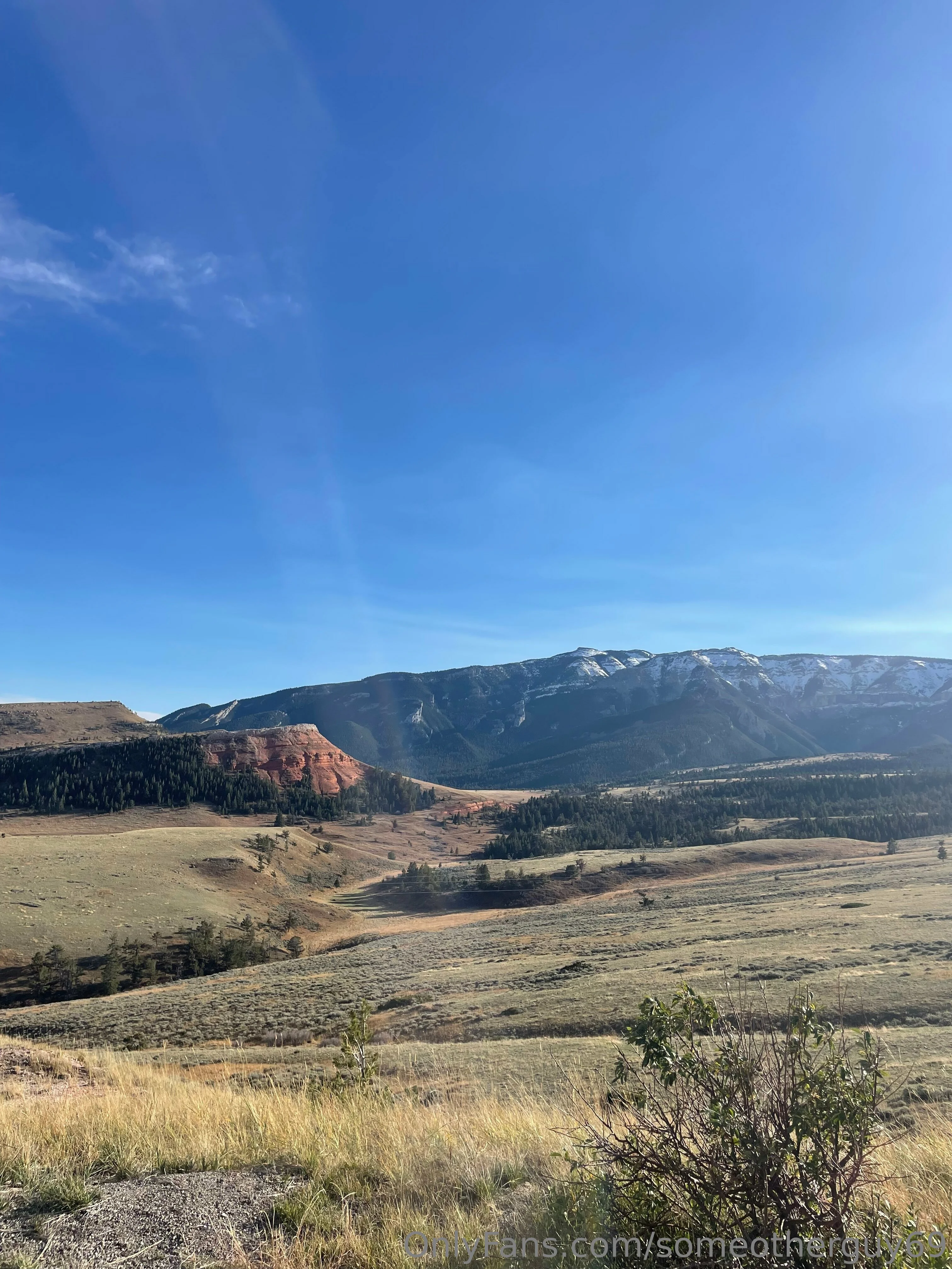 Мишка Michael 🐻‍❄️ OnlyFans premium content 5 - someotherguy69 exclusive collection