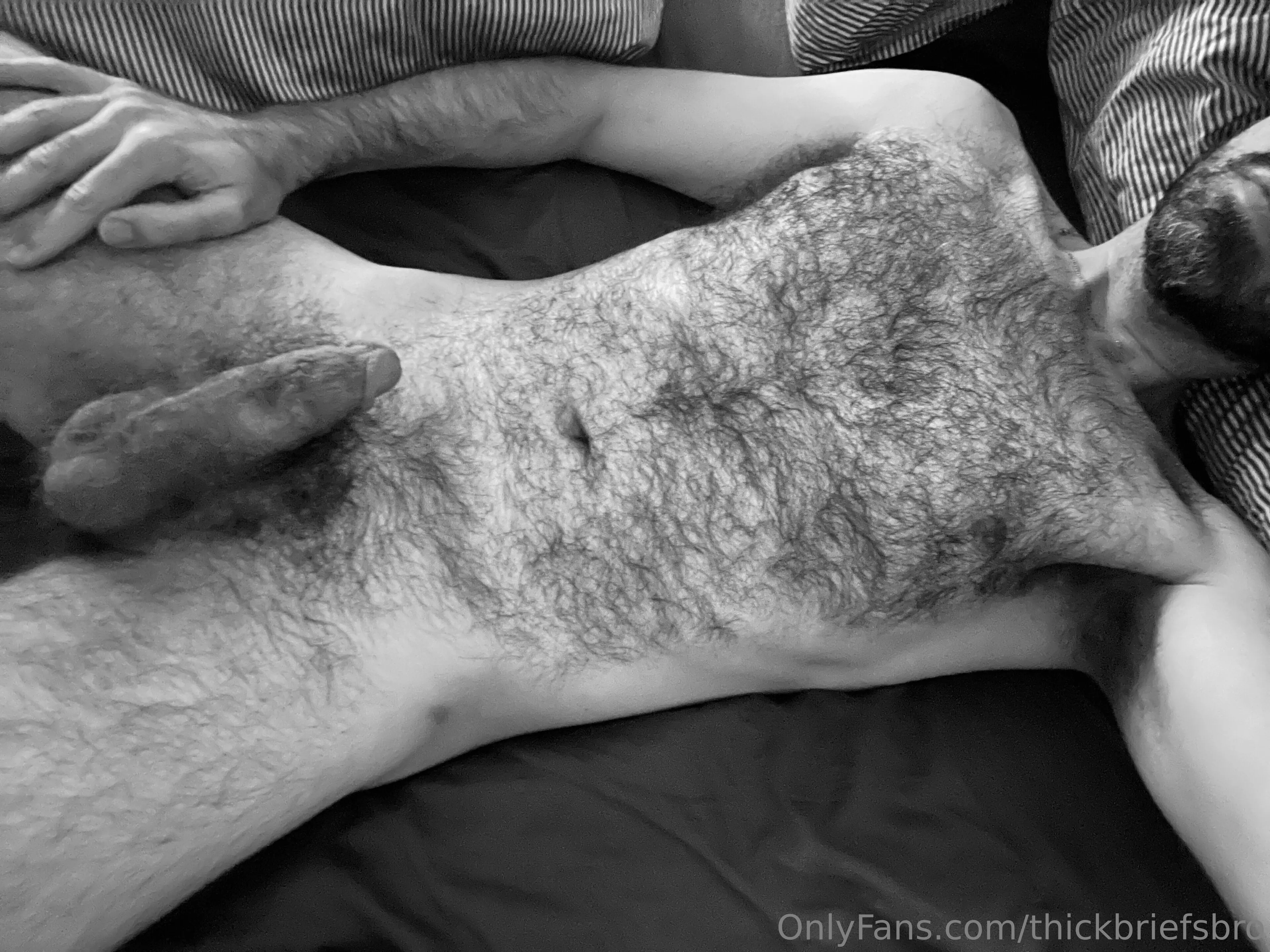 Thick Briefs Bro OnlyFans premium content 16 - thickbriefsbro exclusive collection