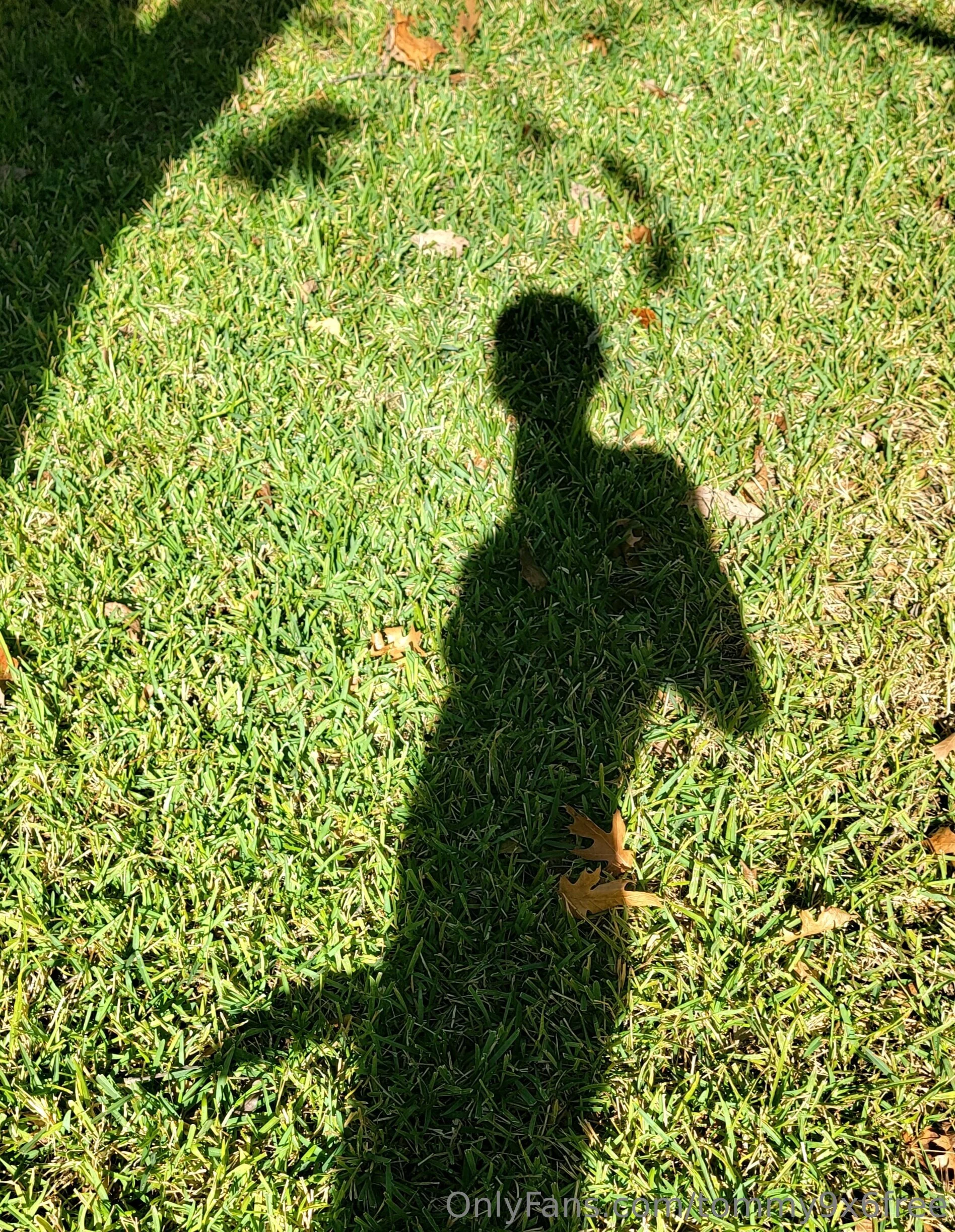 Tommy9x6Free OnlyFans premium content 12 - tommy9x6free exclusive collection