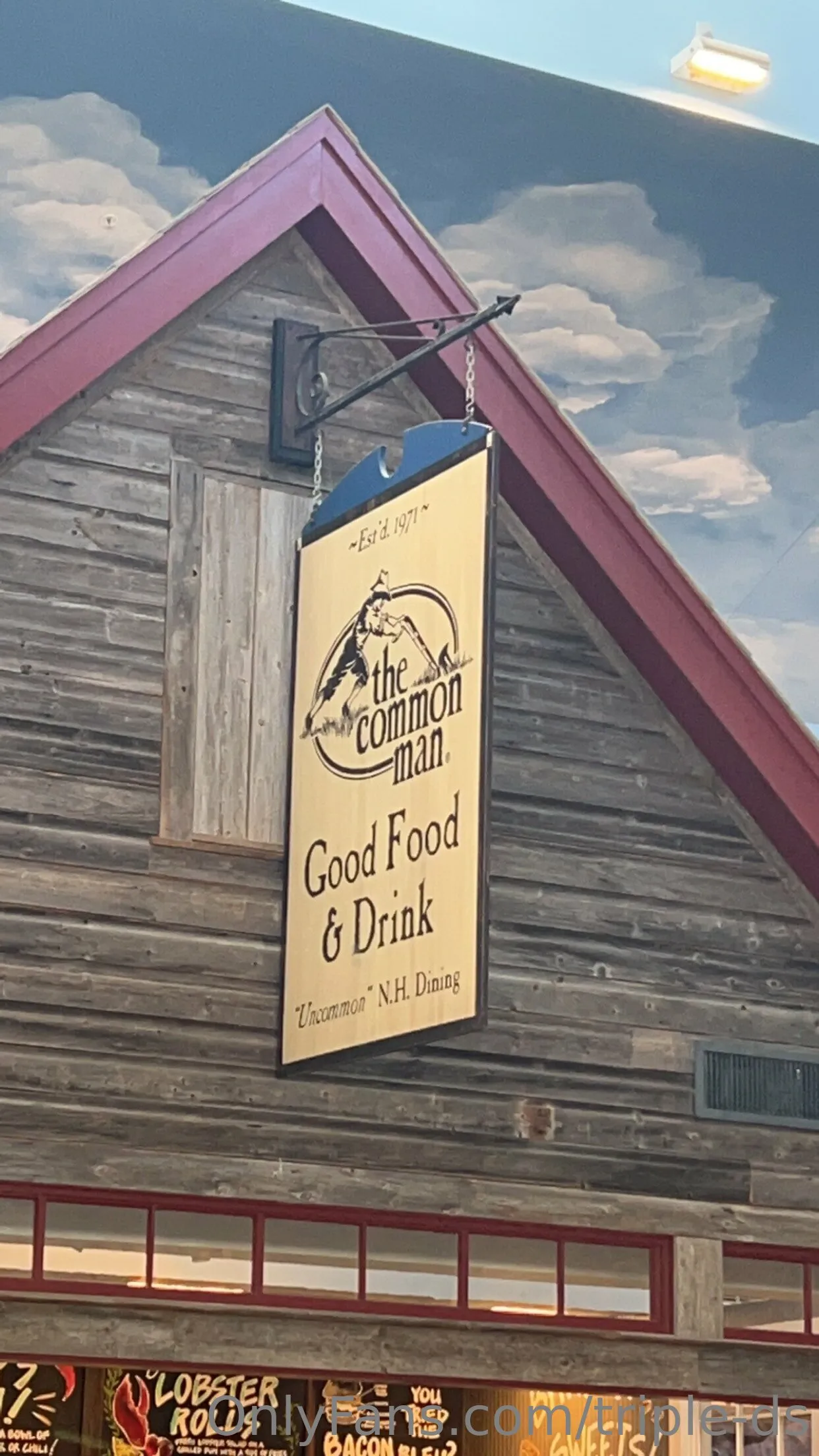 Bridget OnlyFans premium content 7 - triple-ds exclusive collection