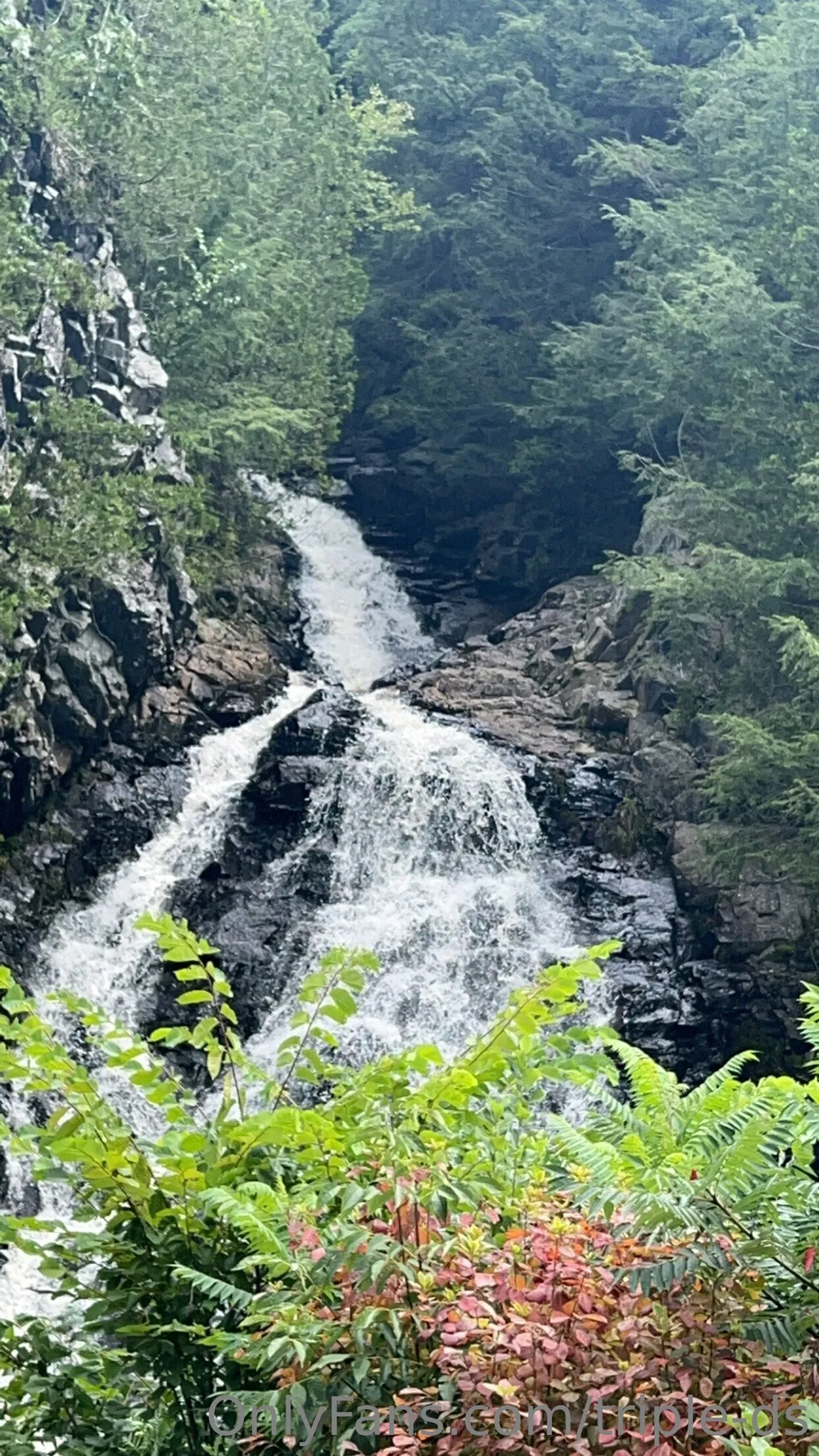 Bridget OnlyFans premium content 1 - triple-ds exclusive collection