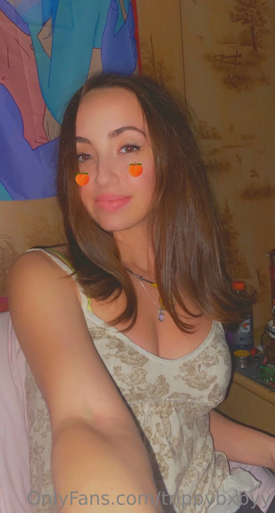 heidi 💕 OnlyFans premium content 18 - trippybxbyy exclusive collection