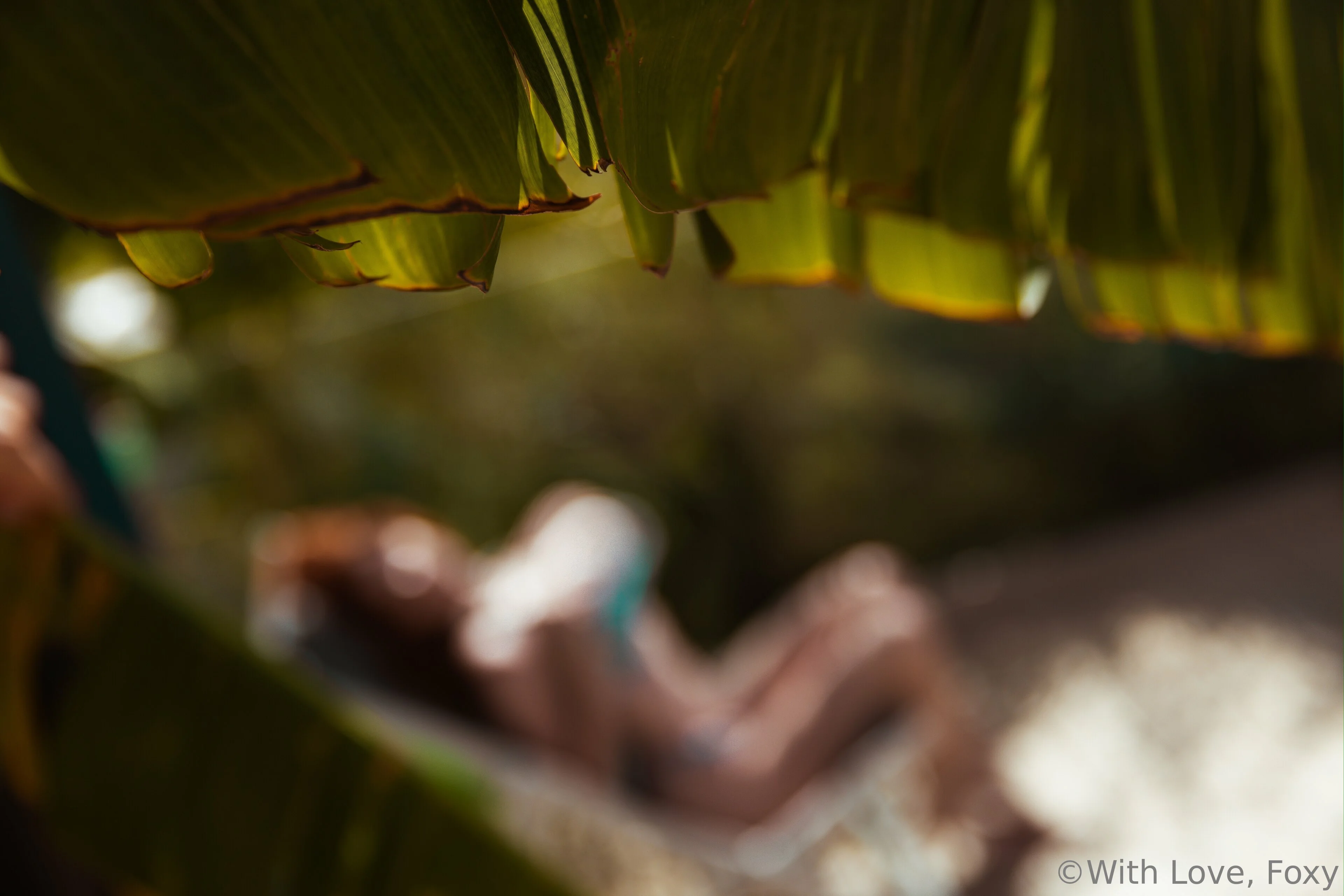 With Love, Foxy OnlyFans premium content 3 - withlovefoxy exclusive collection