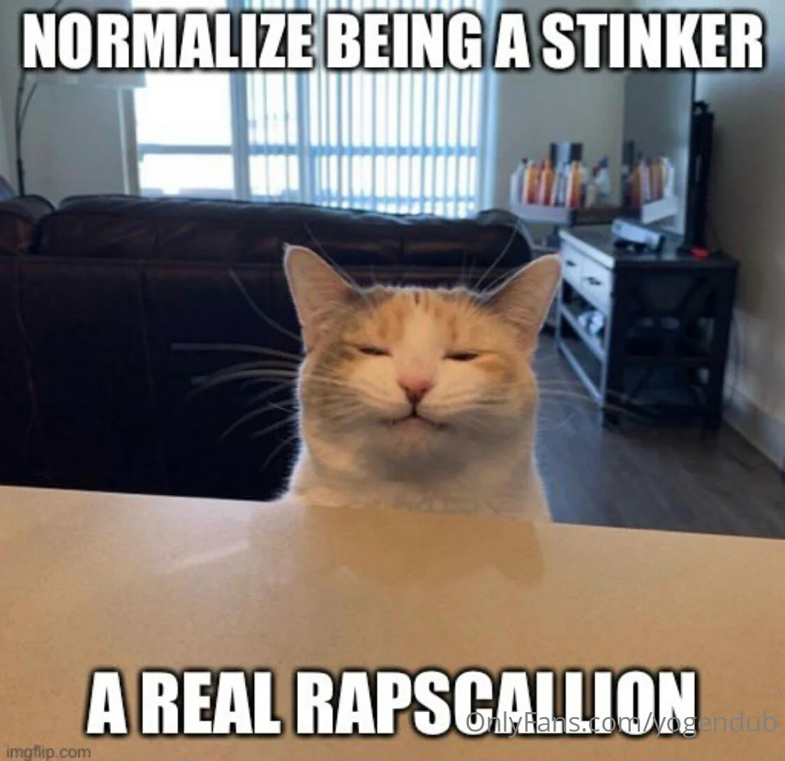 Yogi Bear OnlyFans premium content 10 - yogendub exclusive collection