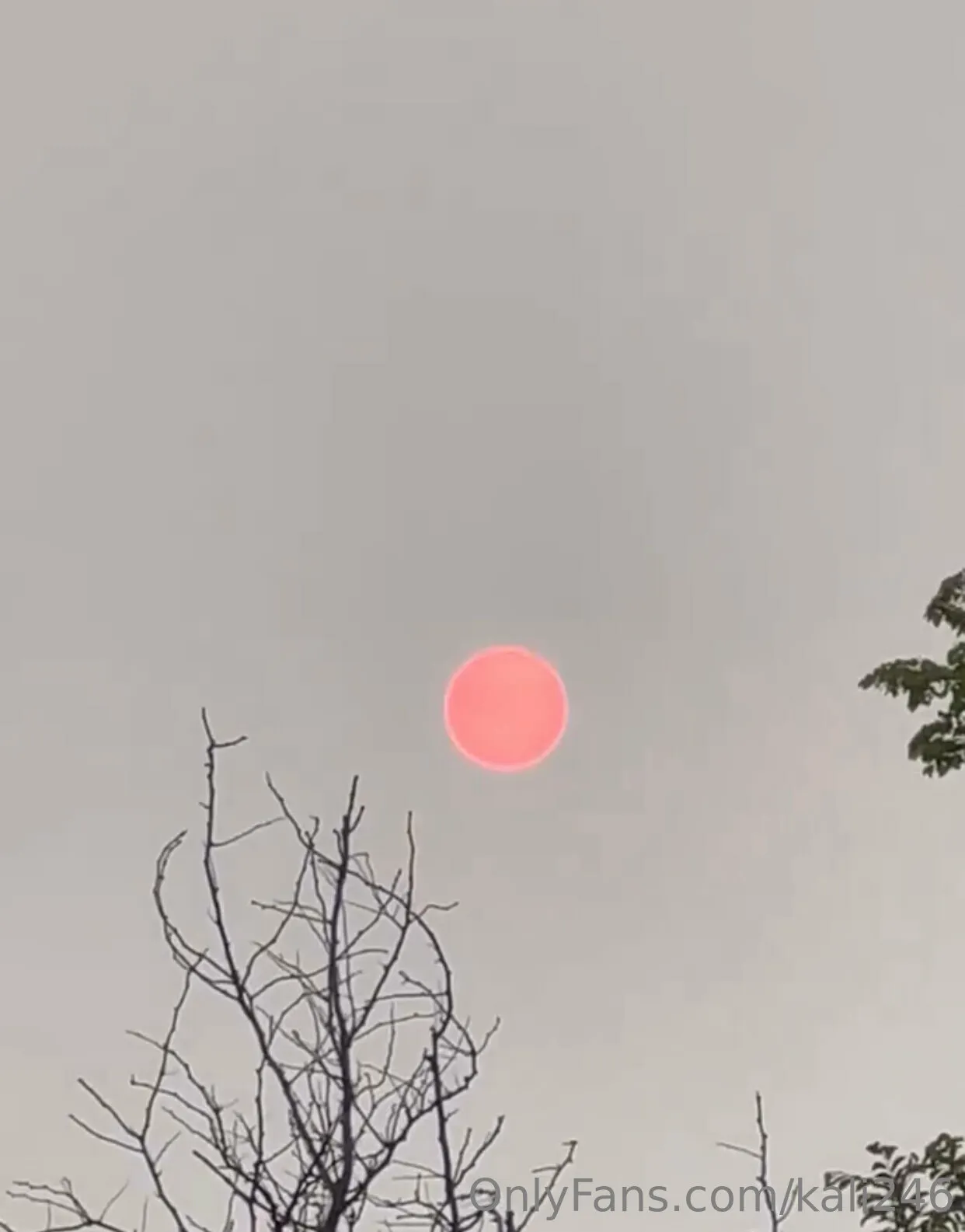 Kali OnlyFans premium content 1 - kali246 exclusive collection