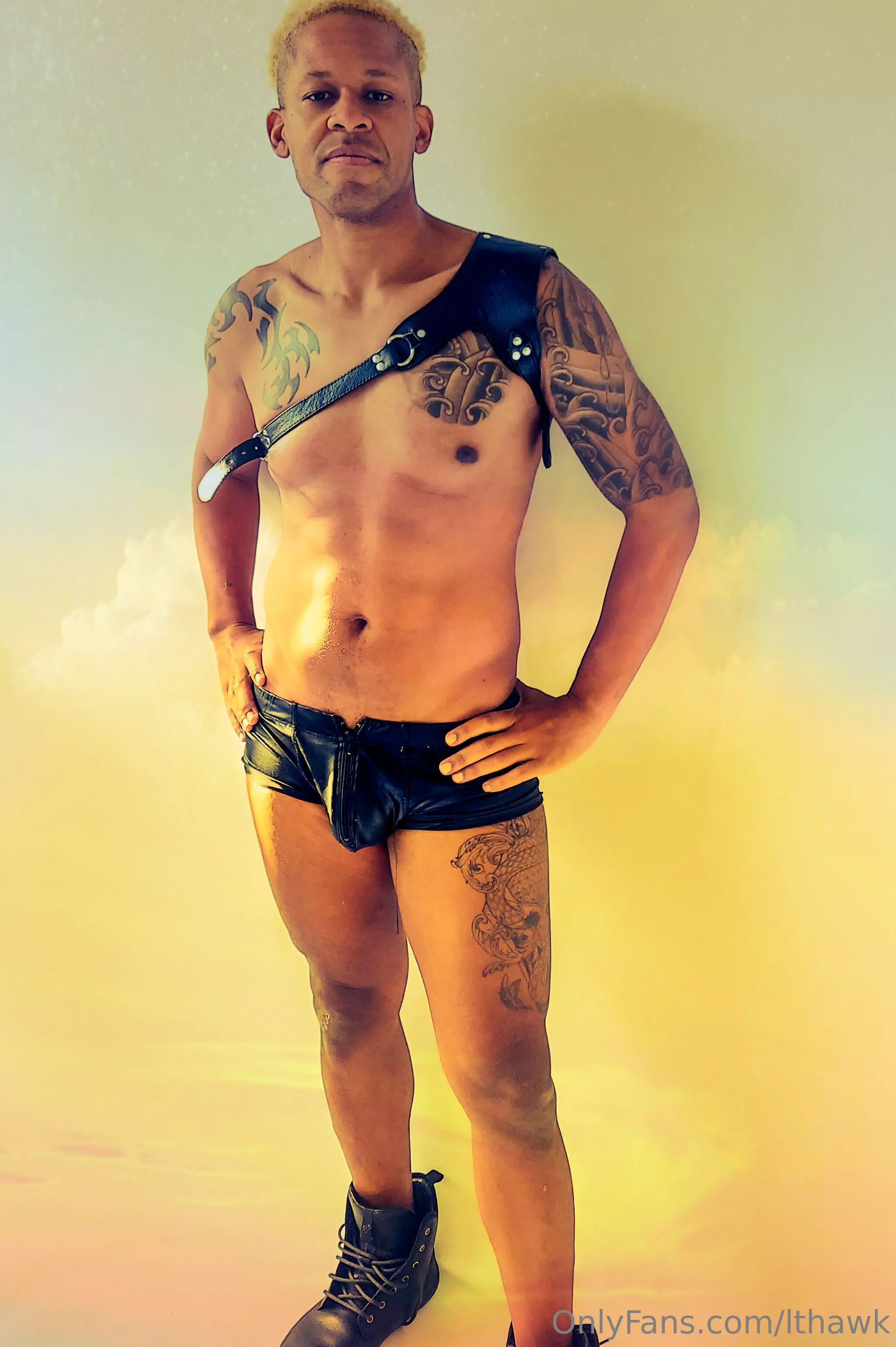 LT Hawk OnlyFans premium content 1 - lthawk exclusive collection