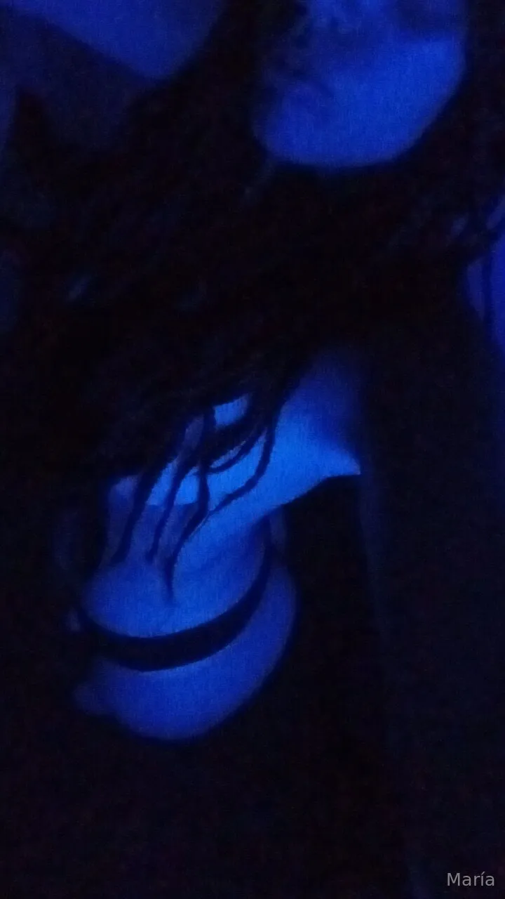 María OnlyFans premium content 1 - maeugemachado exclusive collection